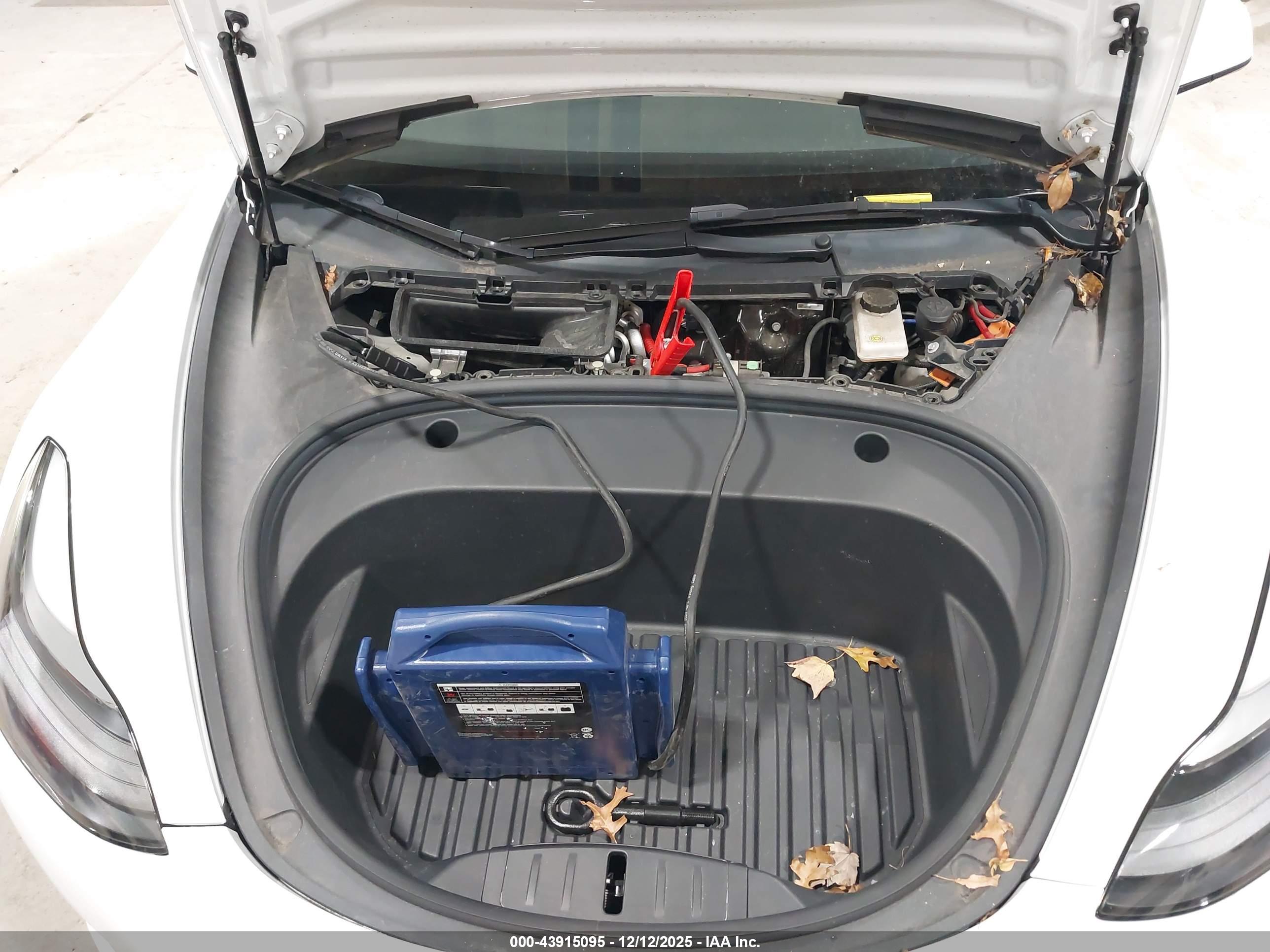 TESLA MODEL image 10