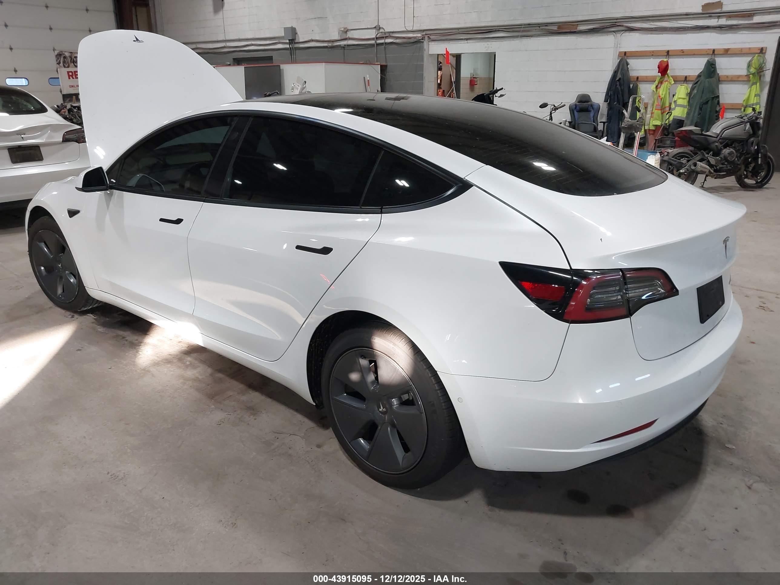 TESLA MODEL image 3