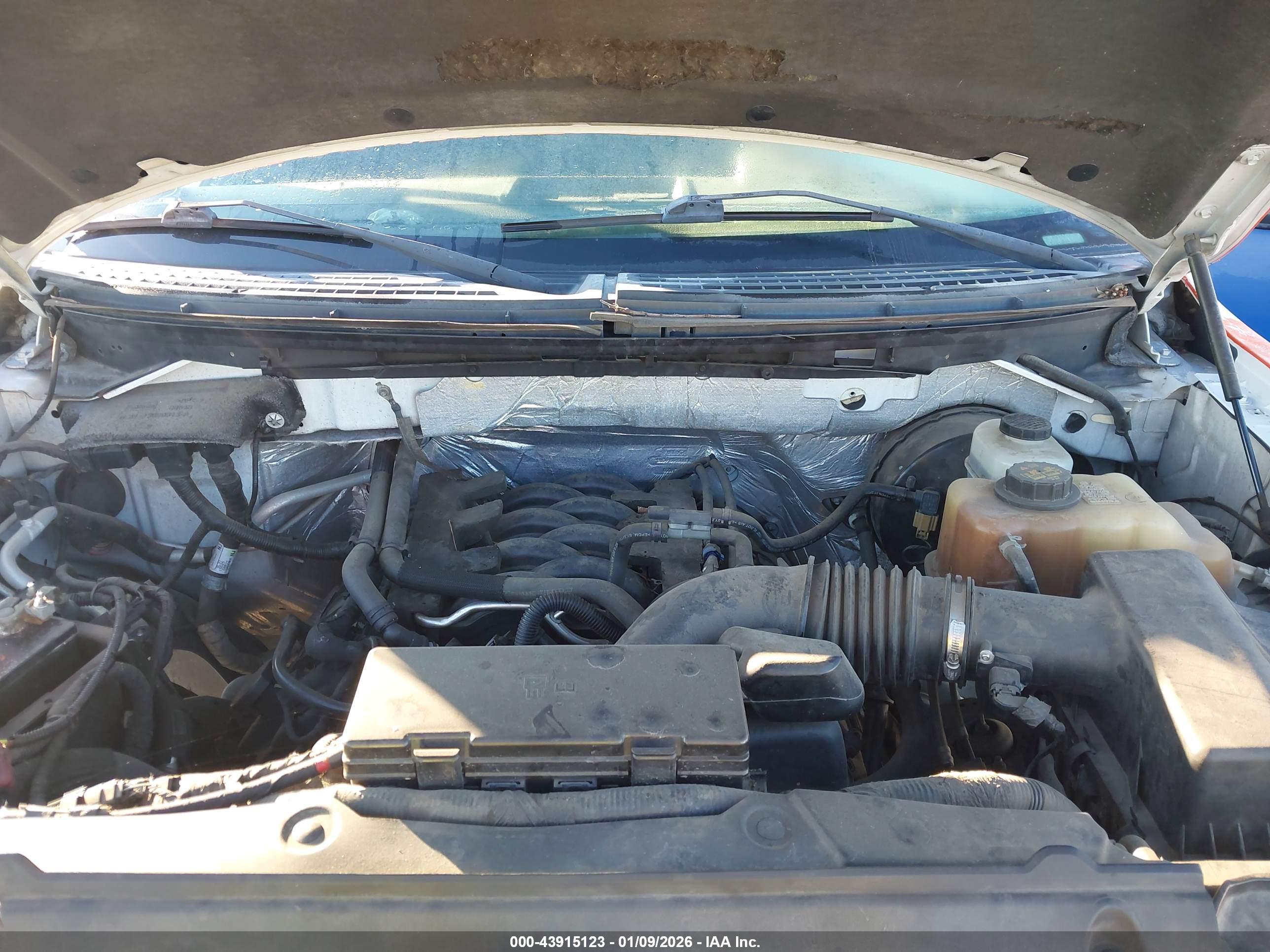 FORD F-150 image 10