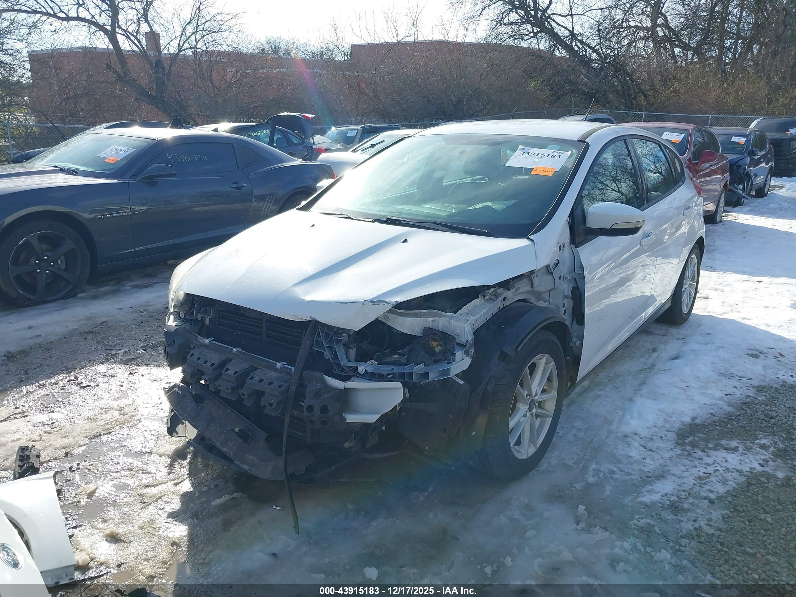 FORD FOCUS image 2