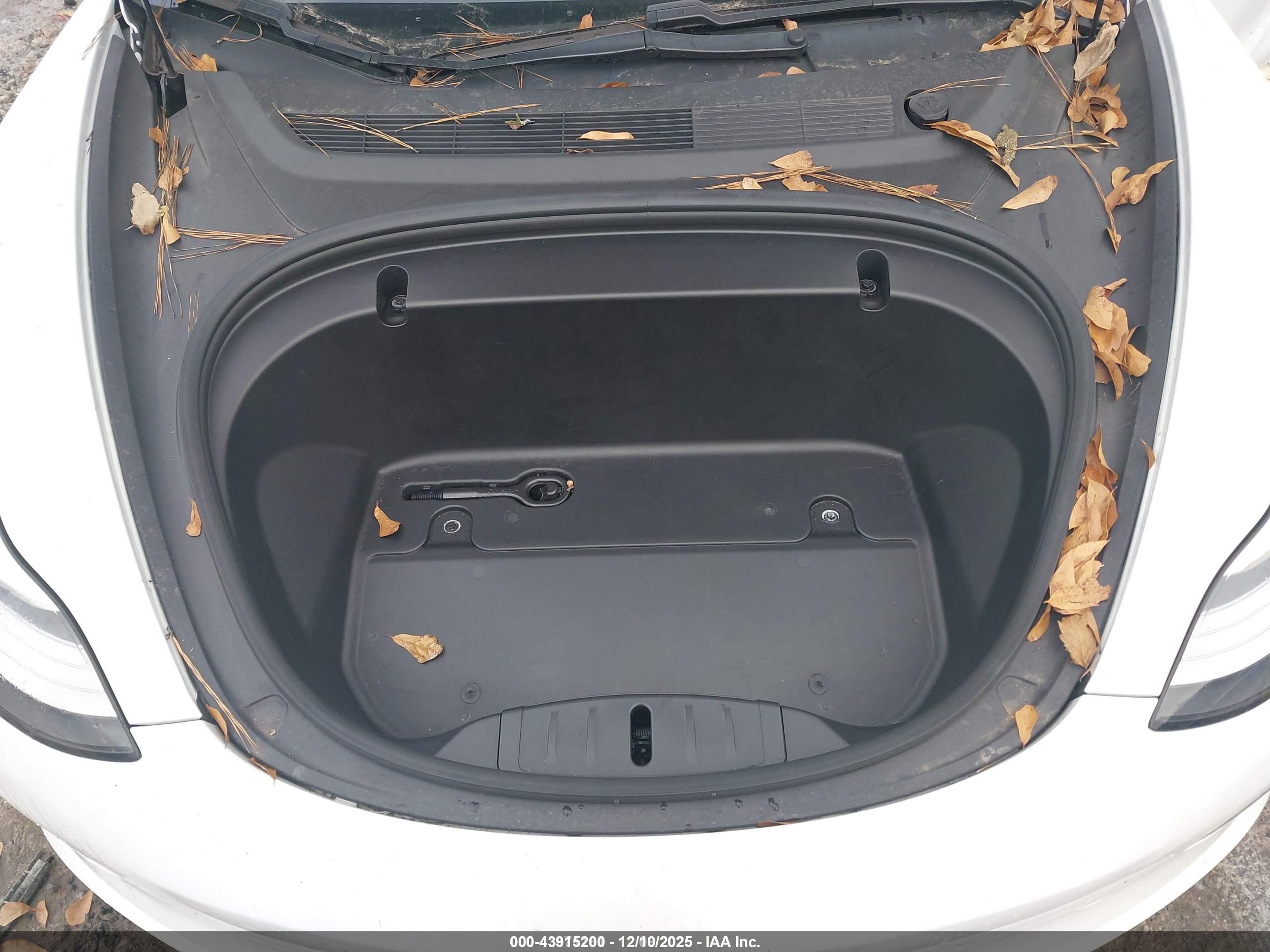 TESLA MODEL image 10