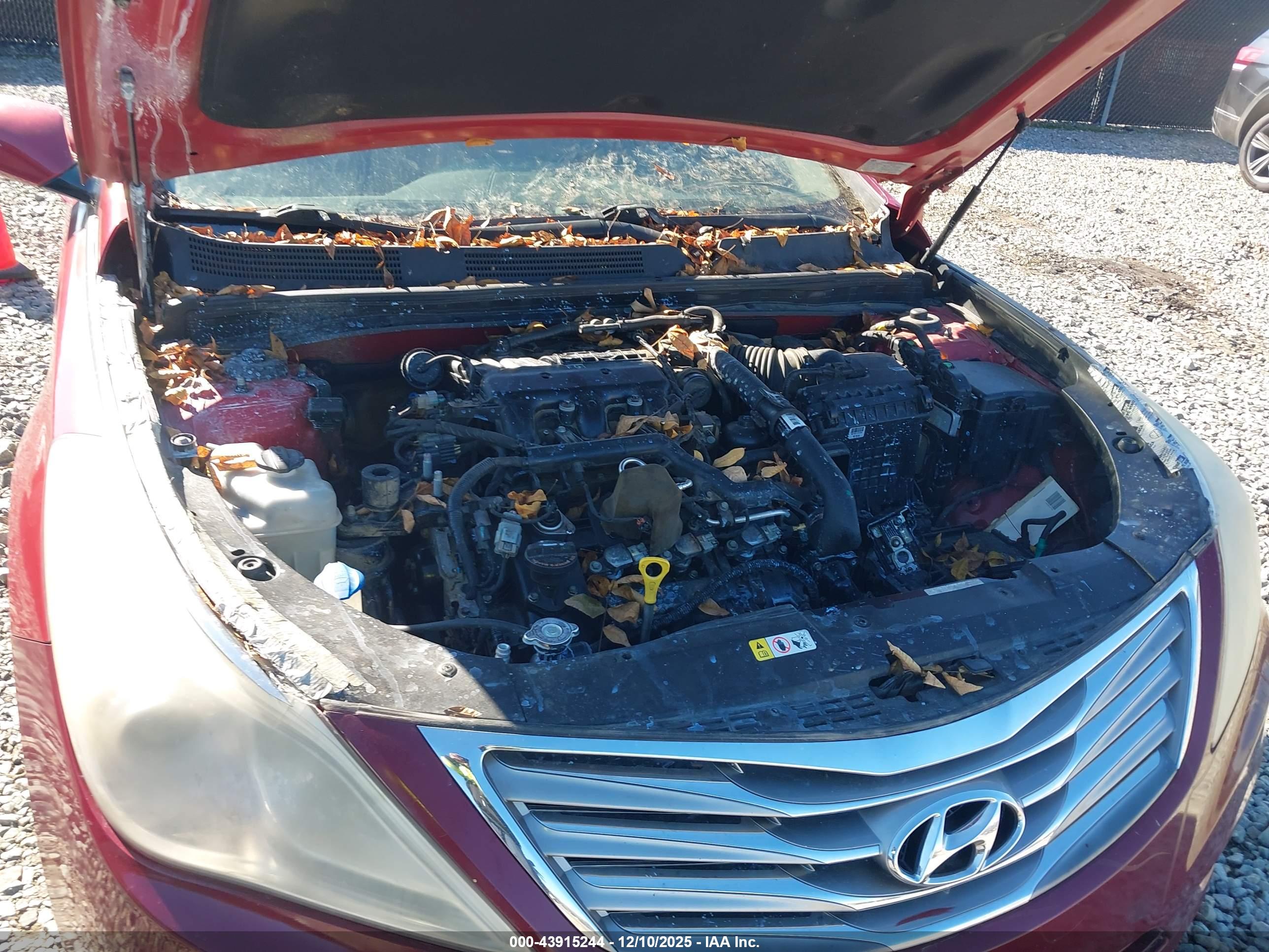 HYUNDAI AZERA image 10