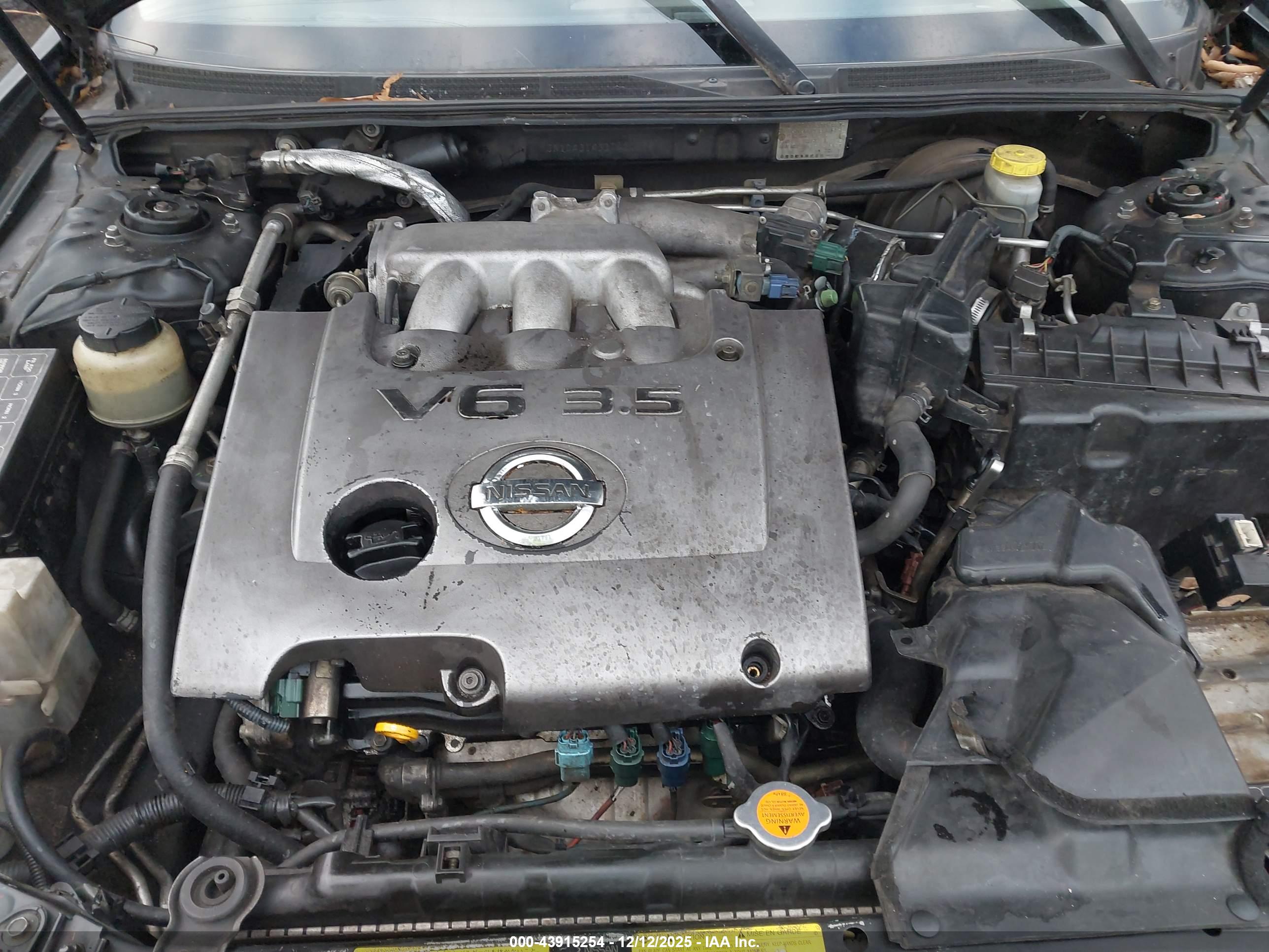 NISSAN MAXIMA image 10