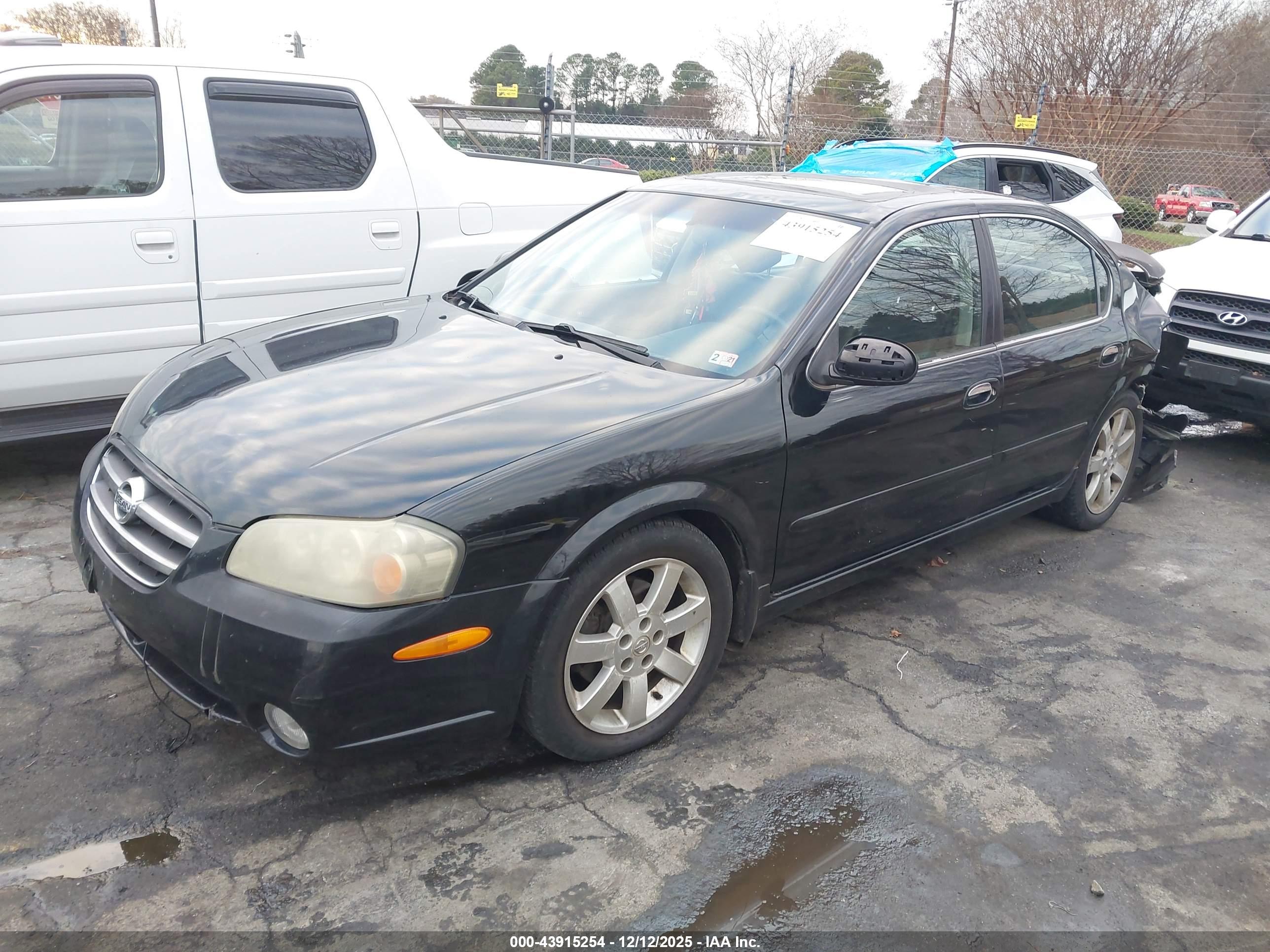 NISSAN MAXIMA image 2