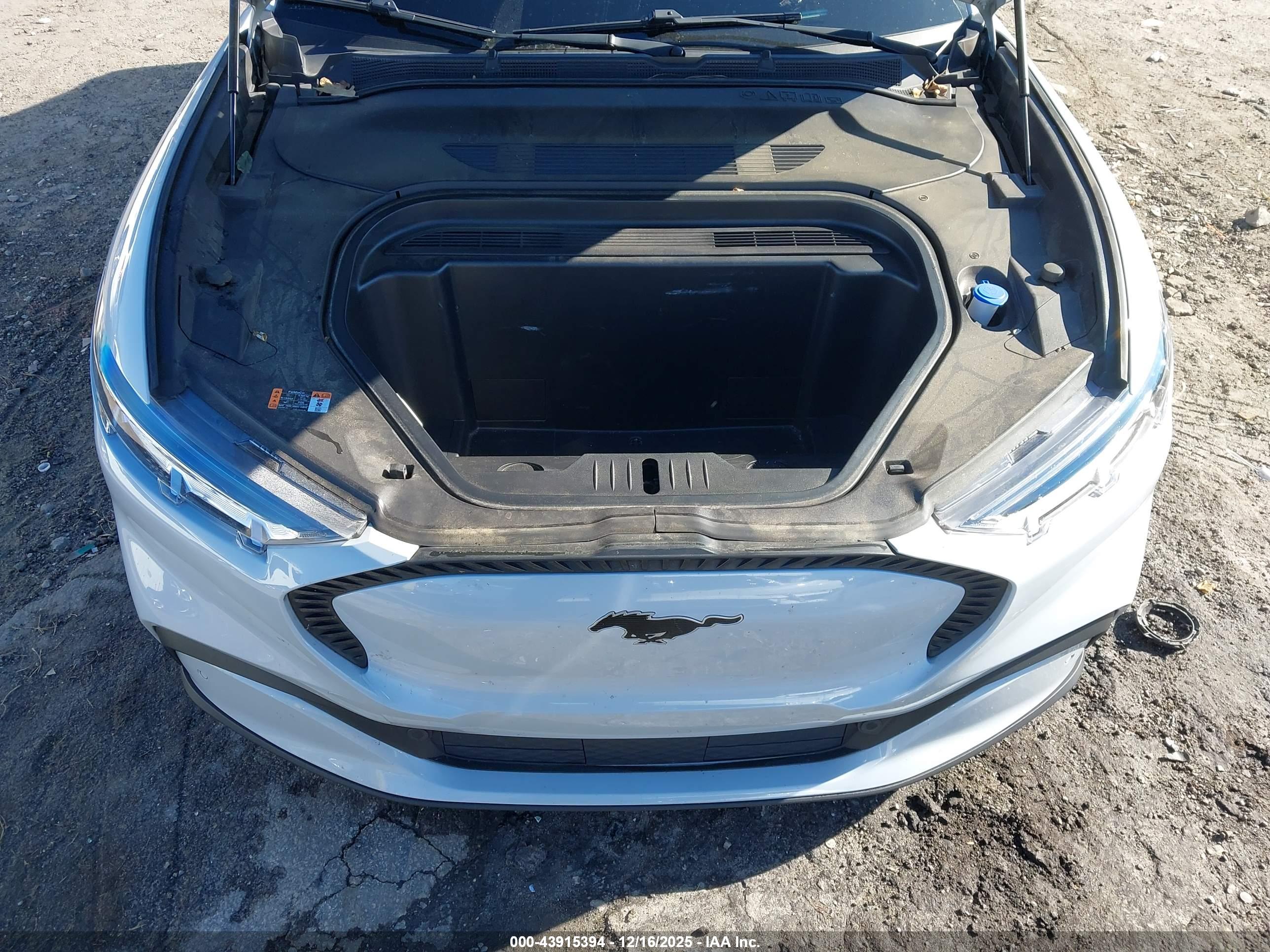FORD MUSTANG image 10