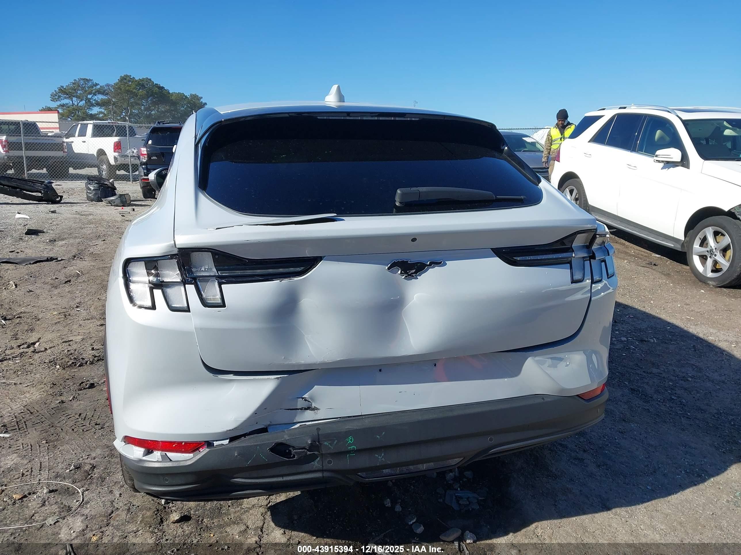 FORD MUSTANG image 6