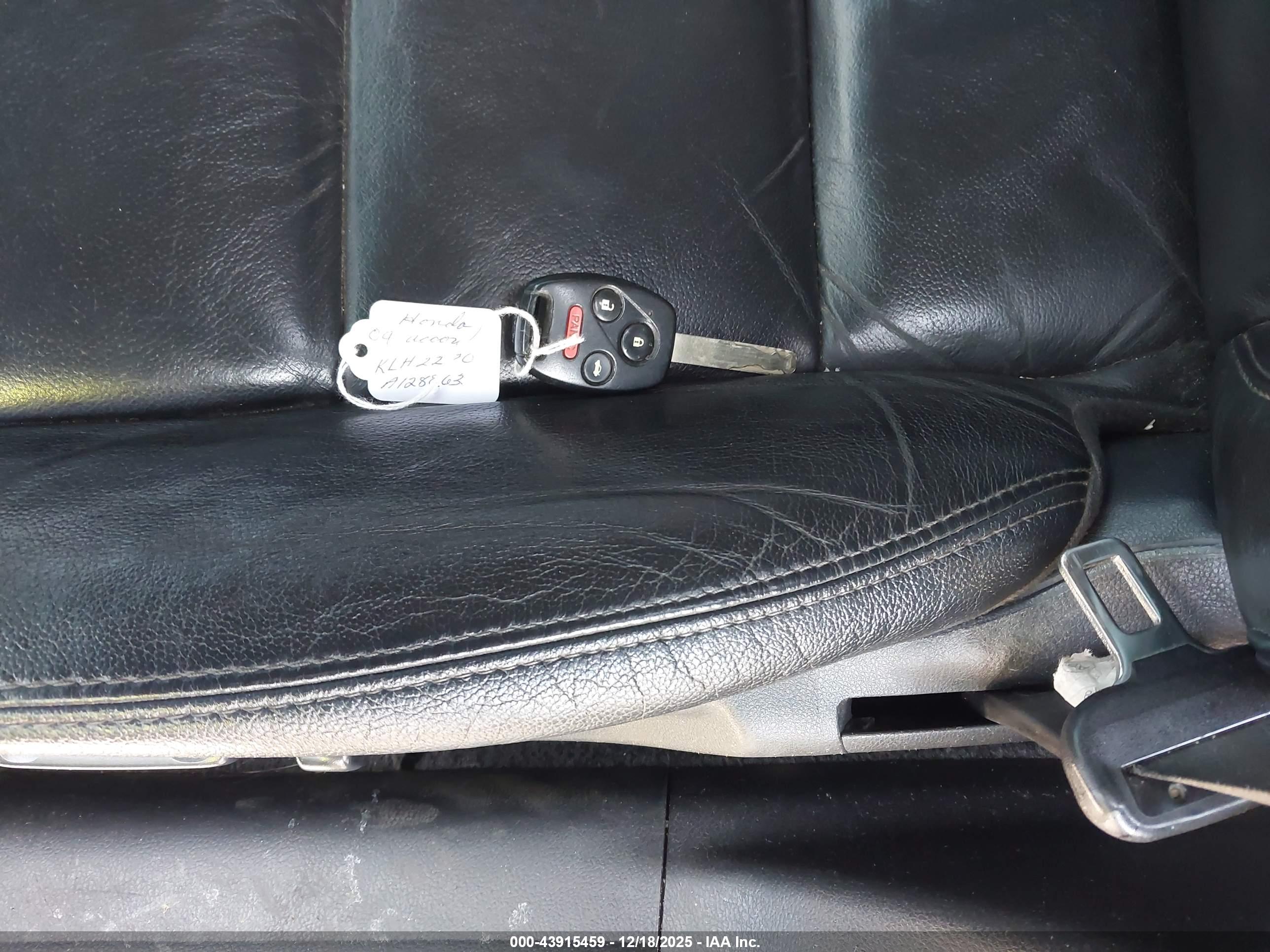 HONDA ACCORD image 11