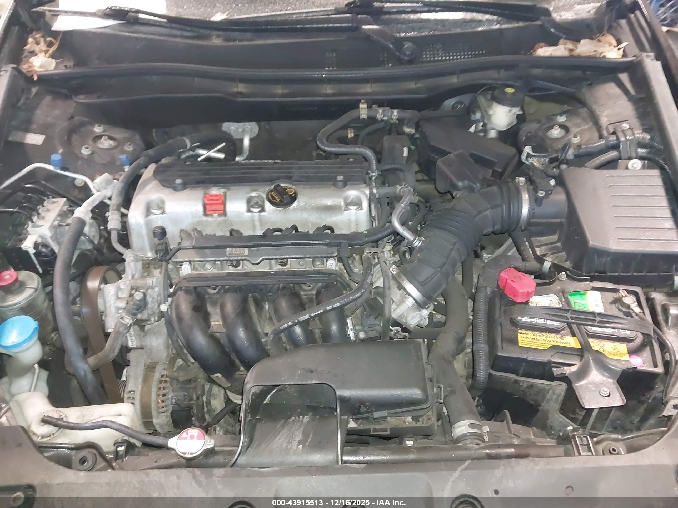 HONDA ACCORD image 10