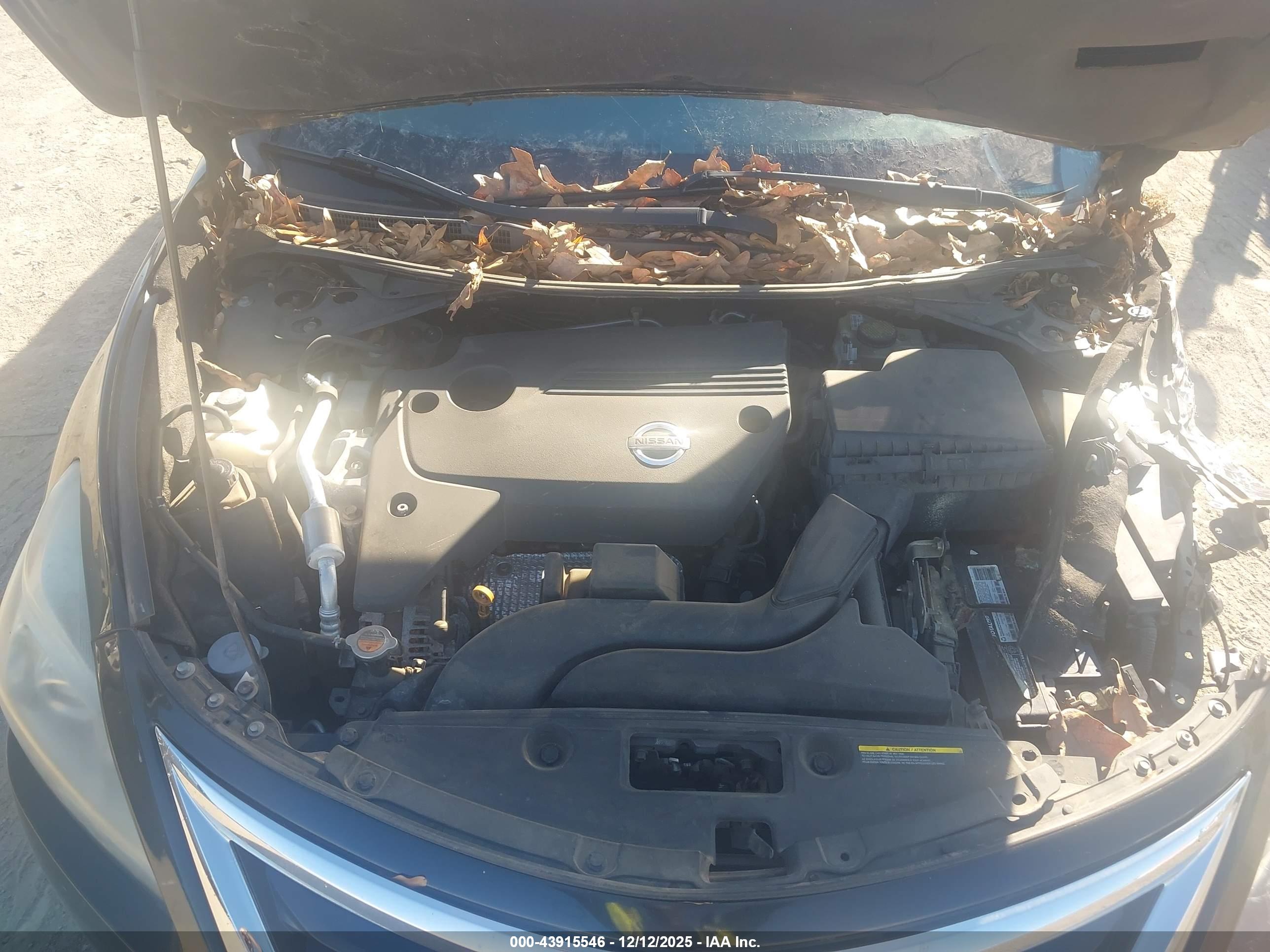 NISSAN ALTIMA image 10