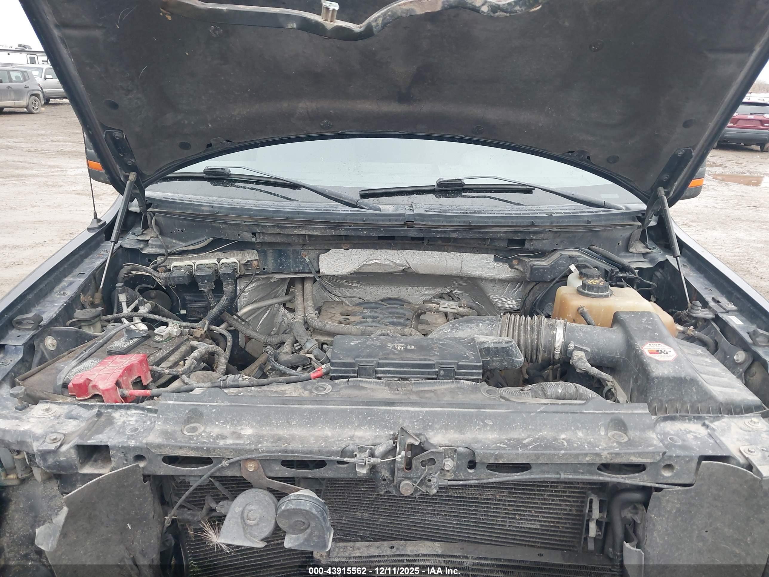 FORD F-150 image 10