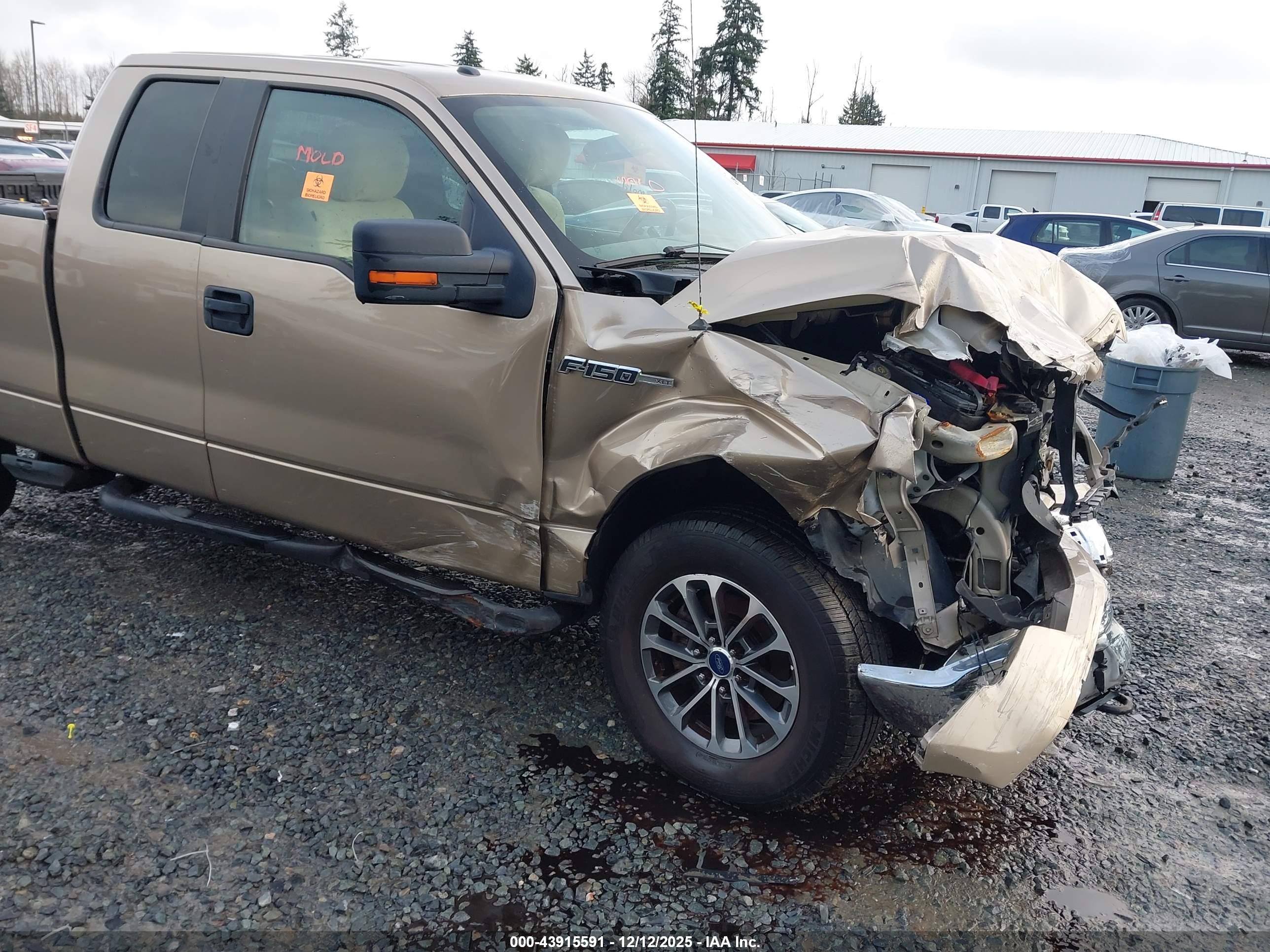 FORD F-150 image 6
