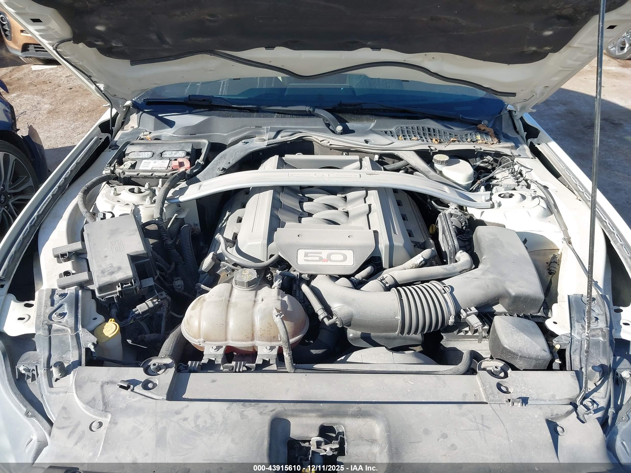 FORD MUSTANG image 10