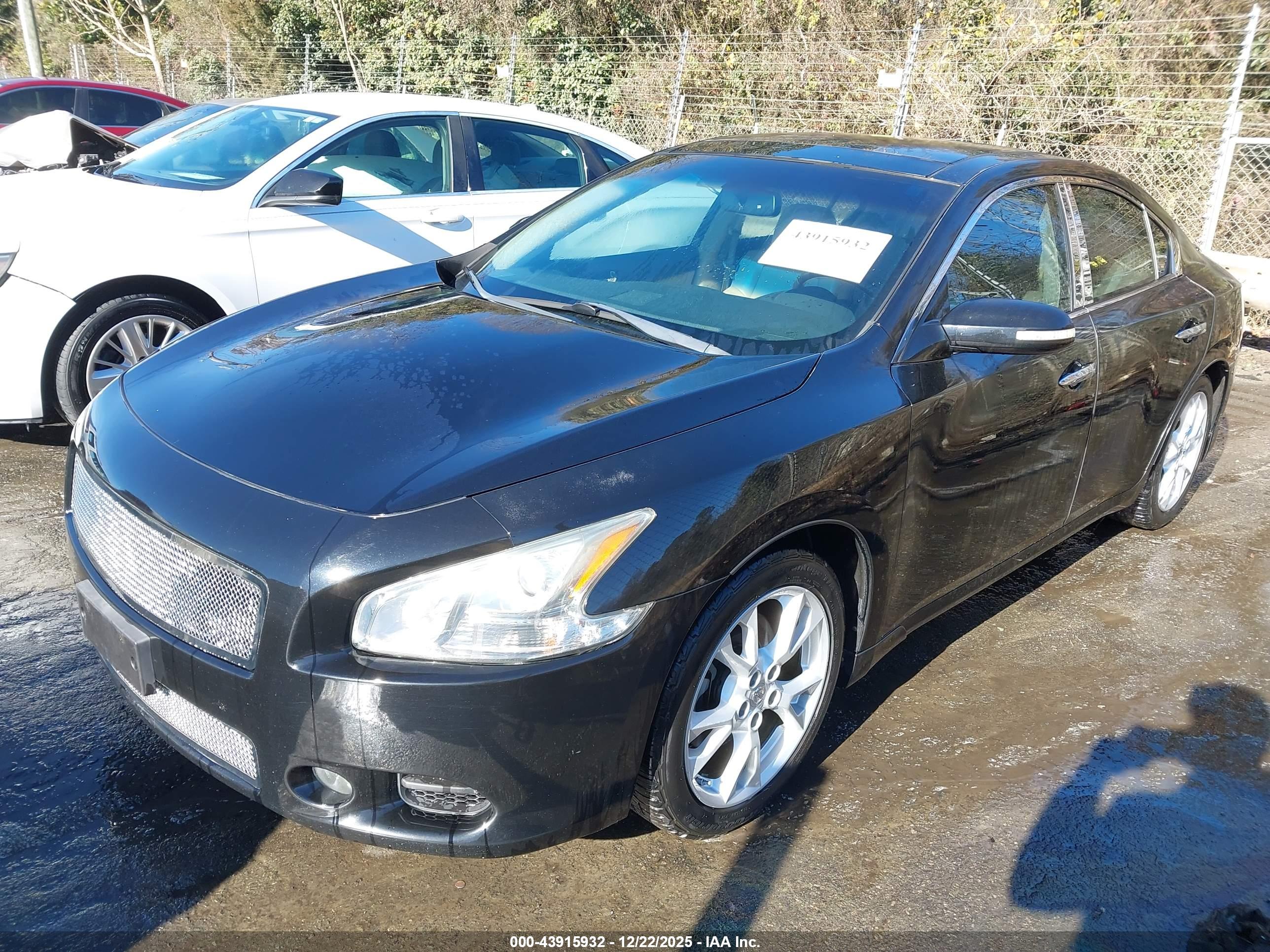 NISSAN MAXIMA image 2
