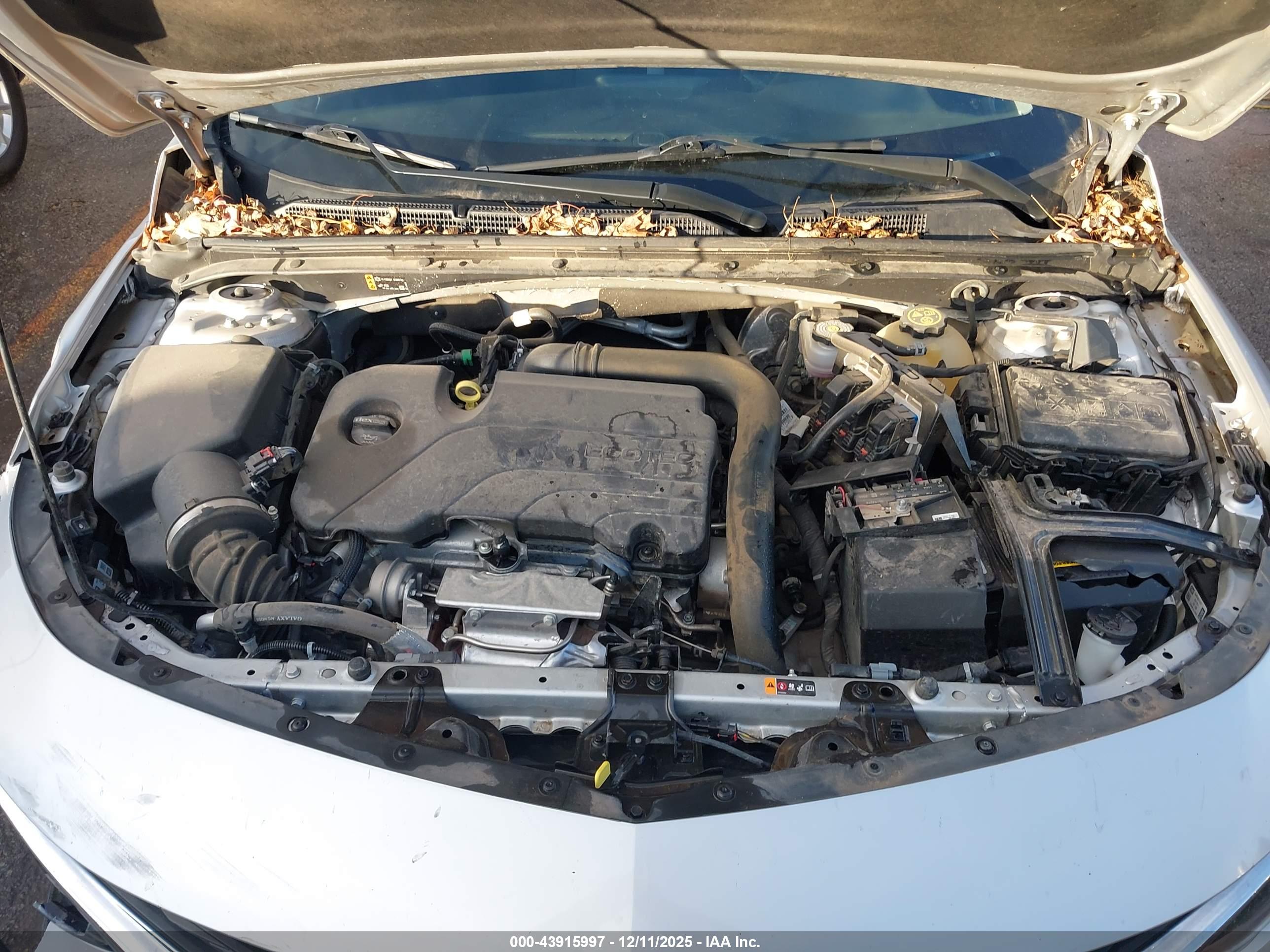 CHEVROLET MALIBU image 10
