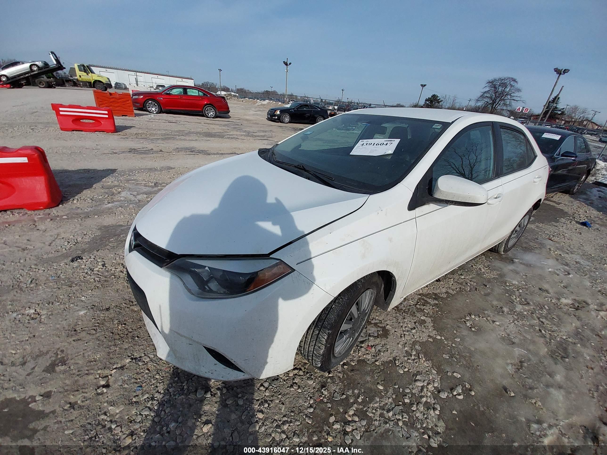 TOYOTA COROLLA image 2