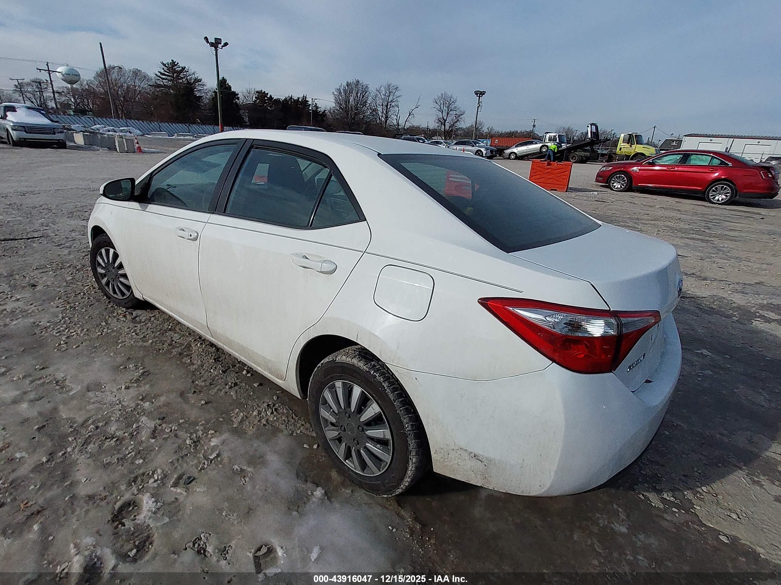 TOYOTA COROLLA image 3