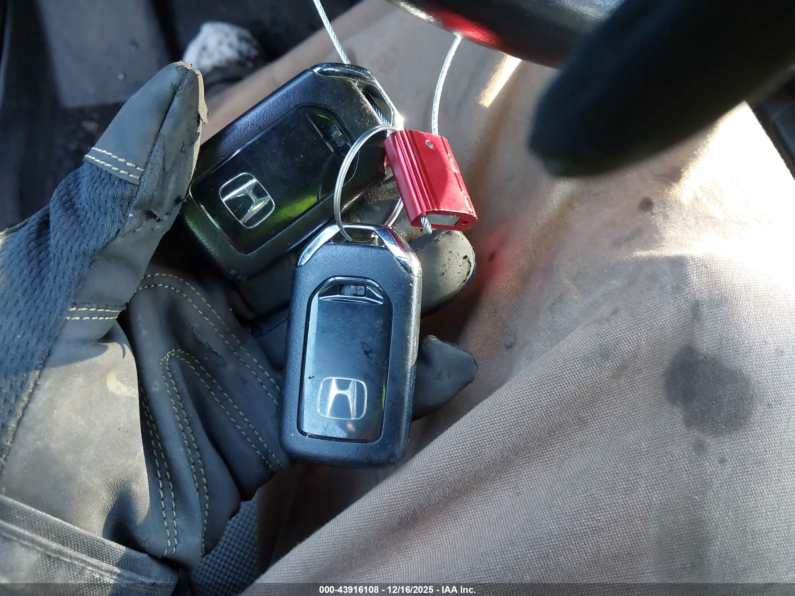 HONDA CR-V image 11