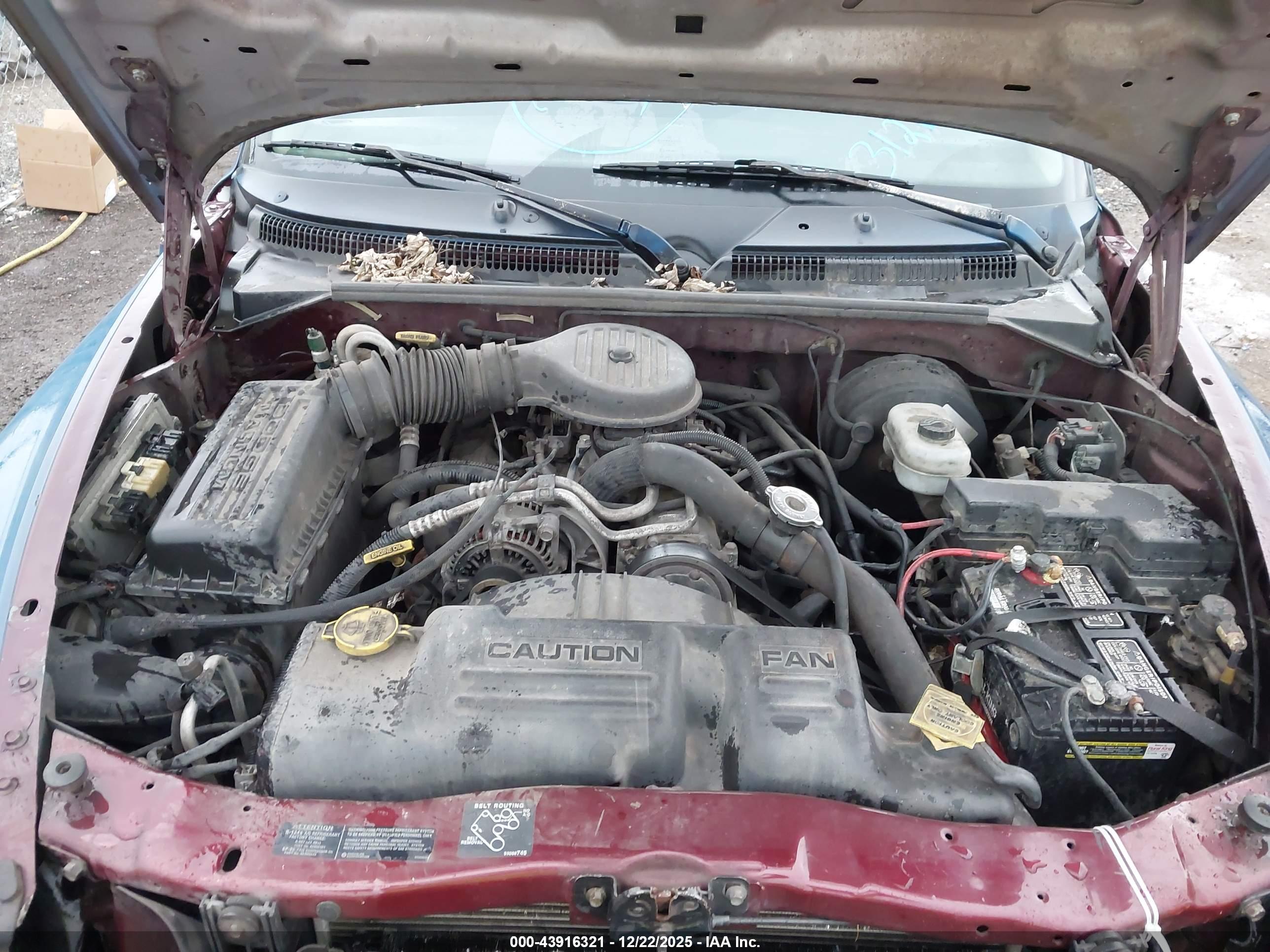 DODGE DAKOTA image 10