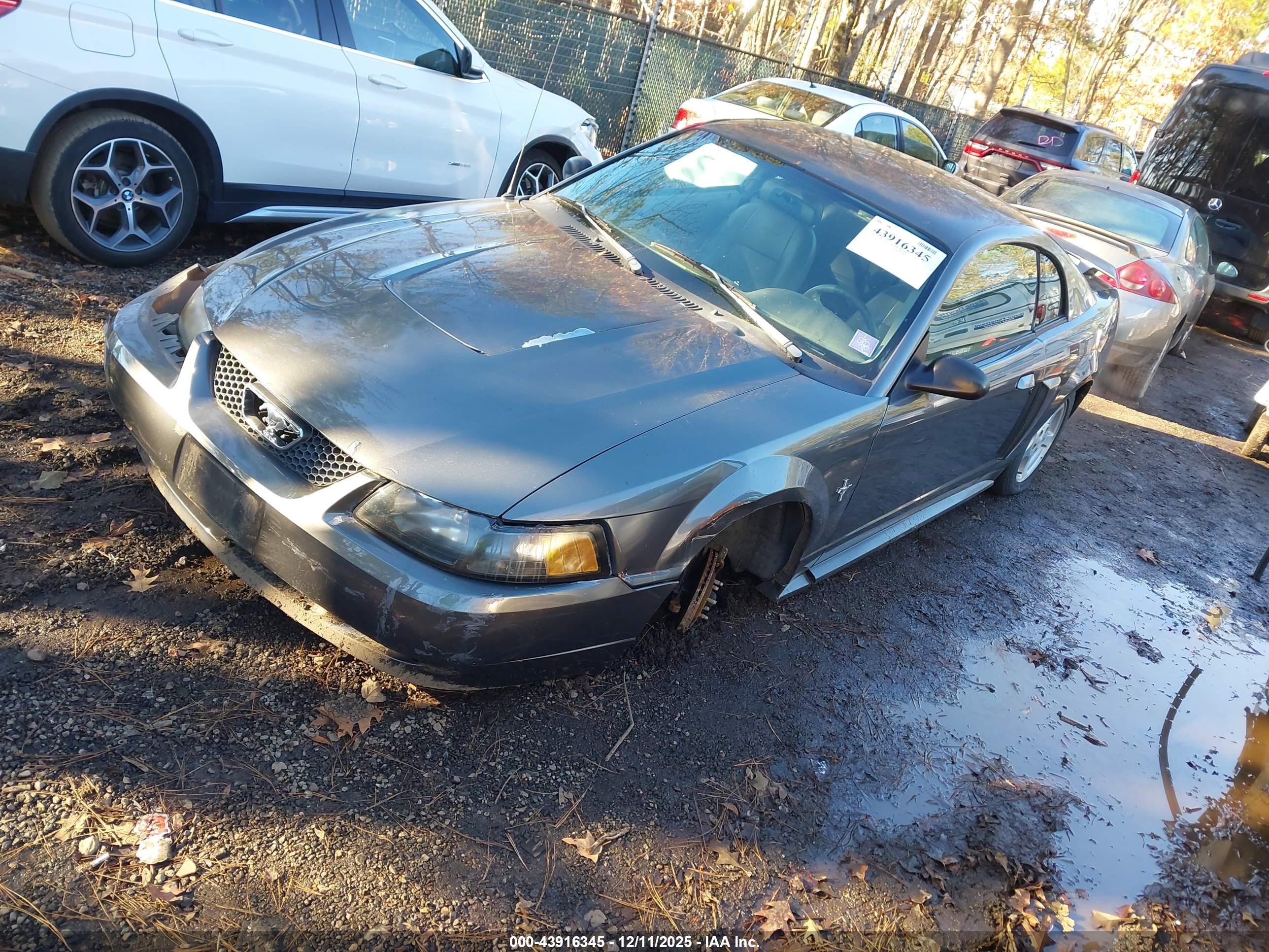 FORD MUSTANG image 2