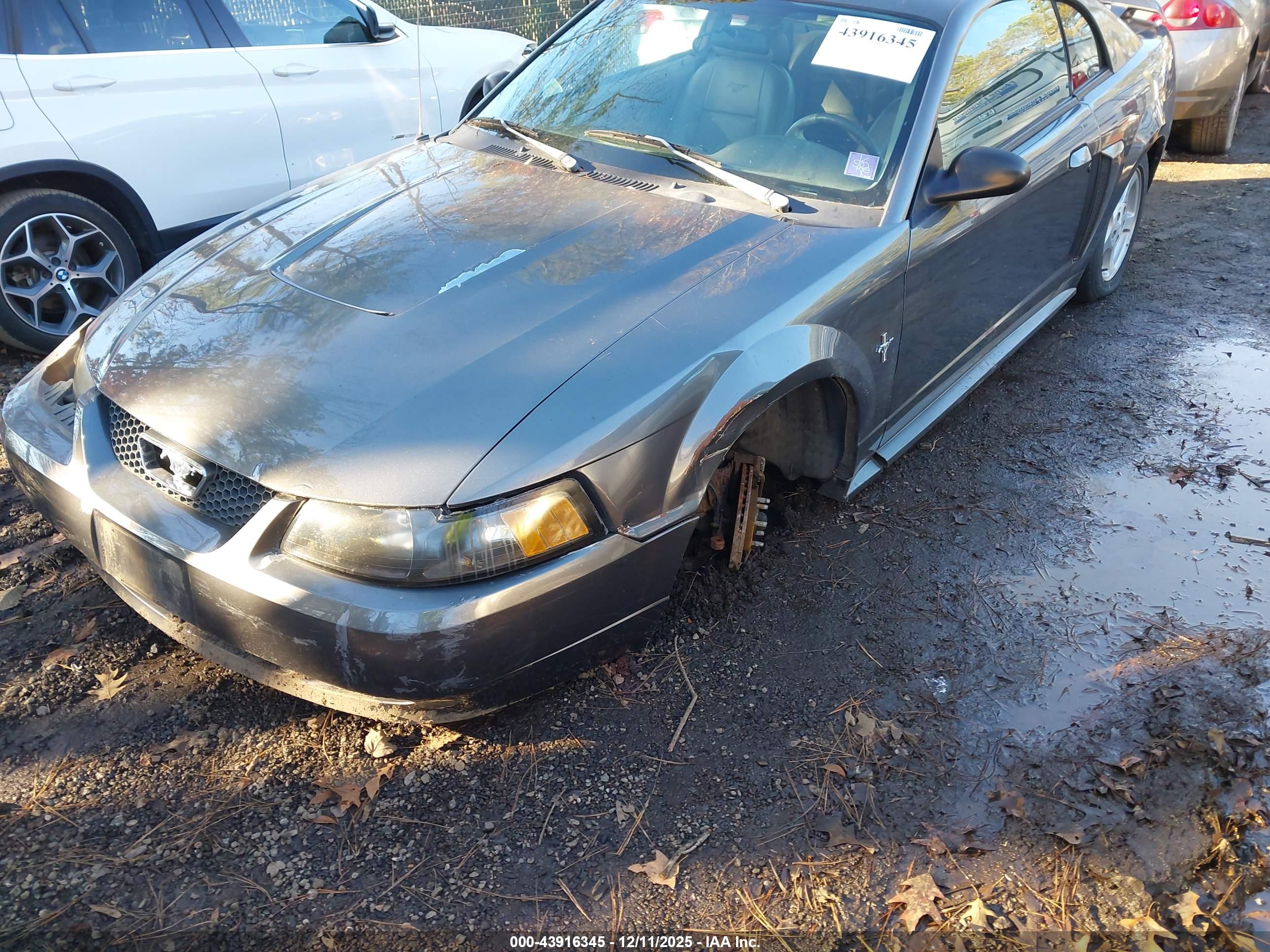 FORD MUSTANG image 6