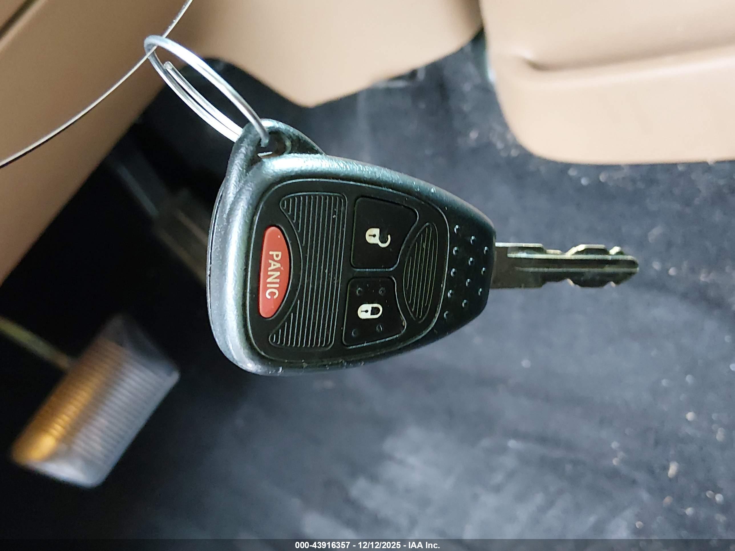 JEEP WRANGLER image 11