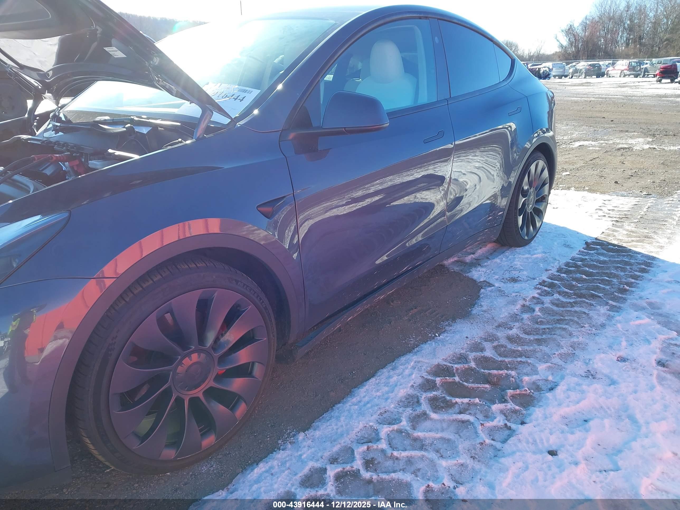 TESLA MODEL image 6