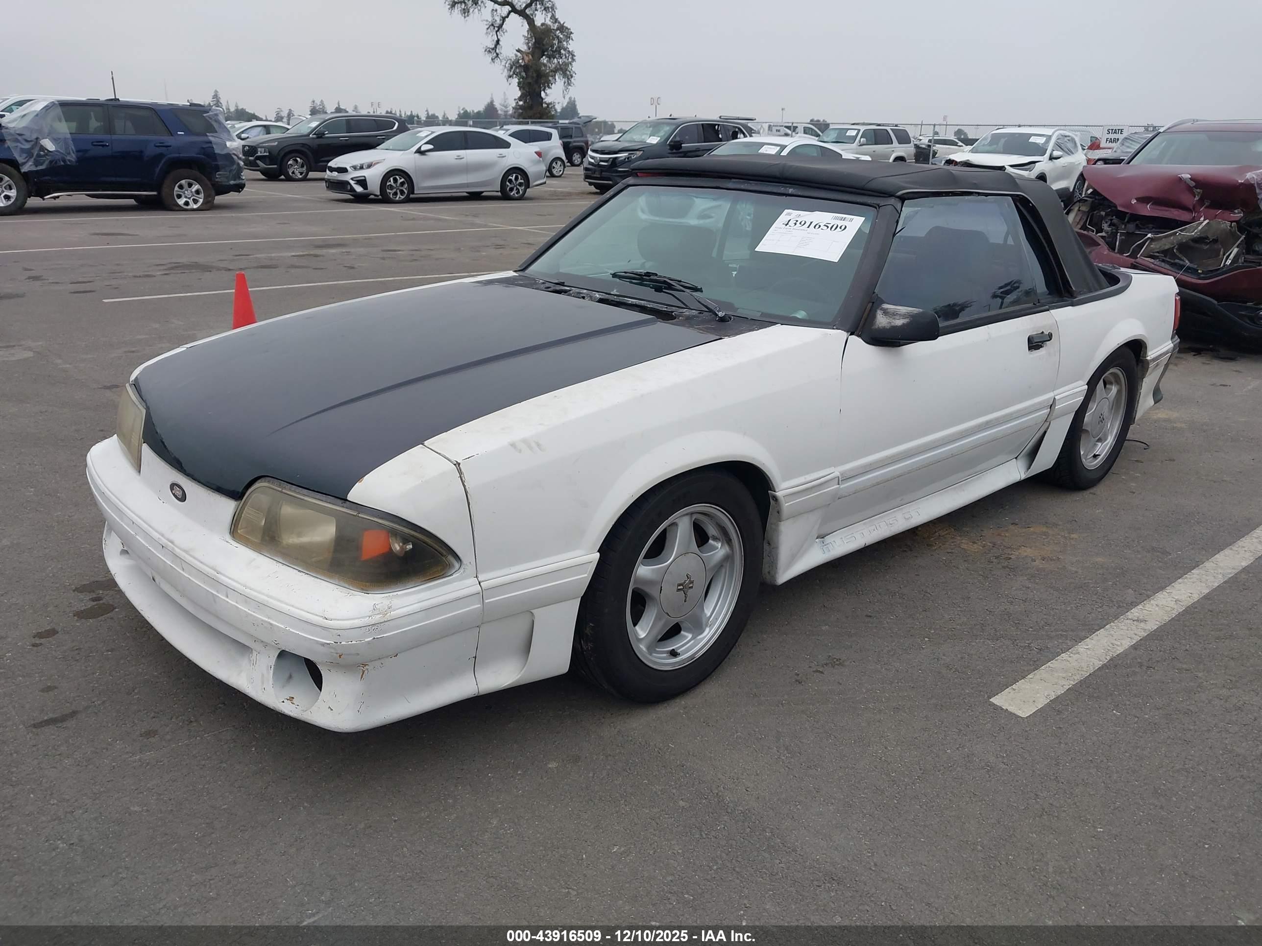FORD MUSTANG image 2