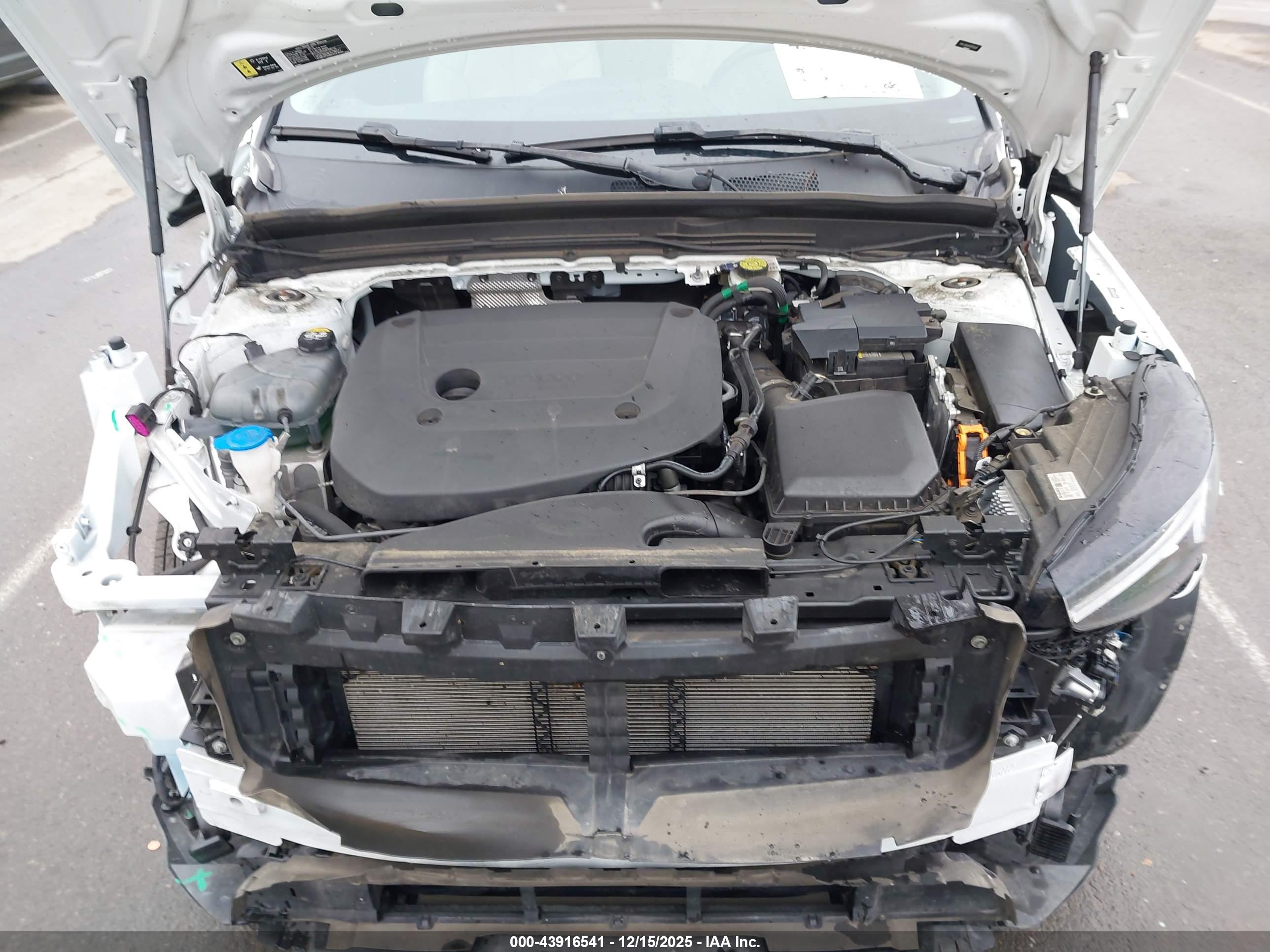 VOLVO XC40 image 10
