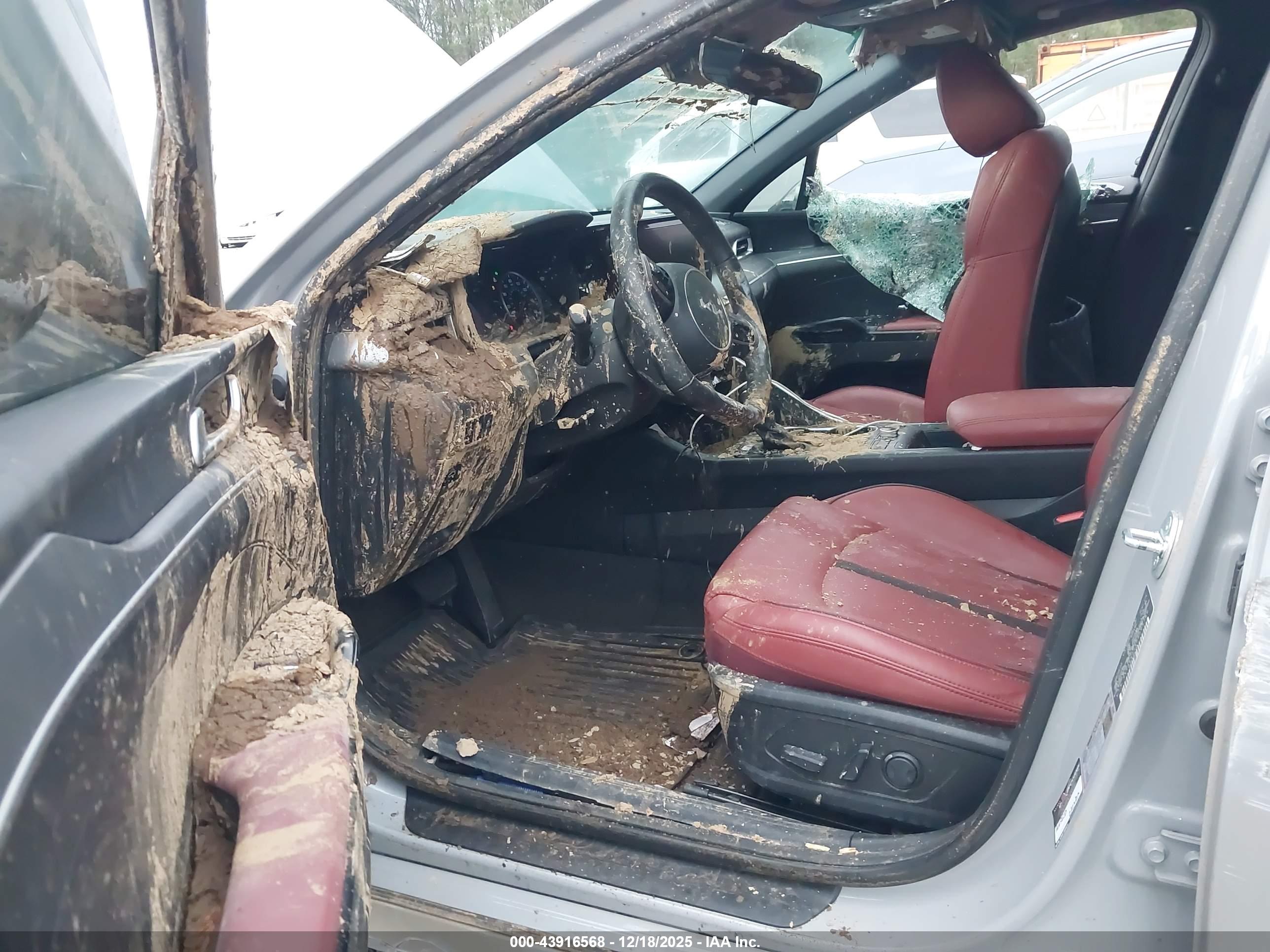KIA K5 image 5