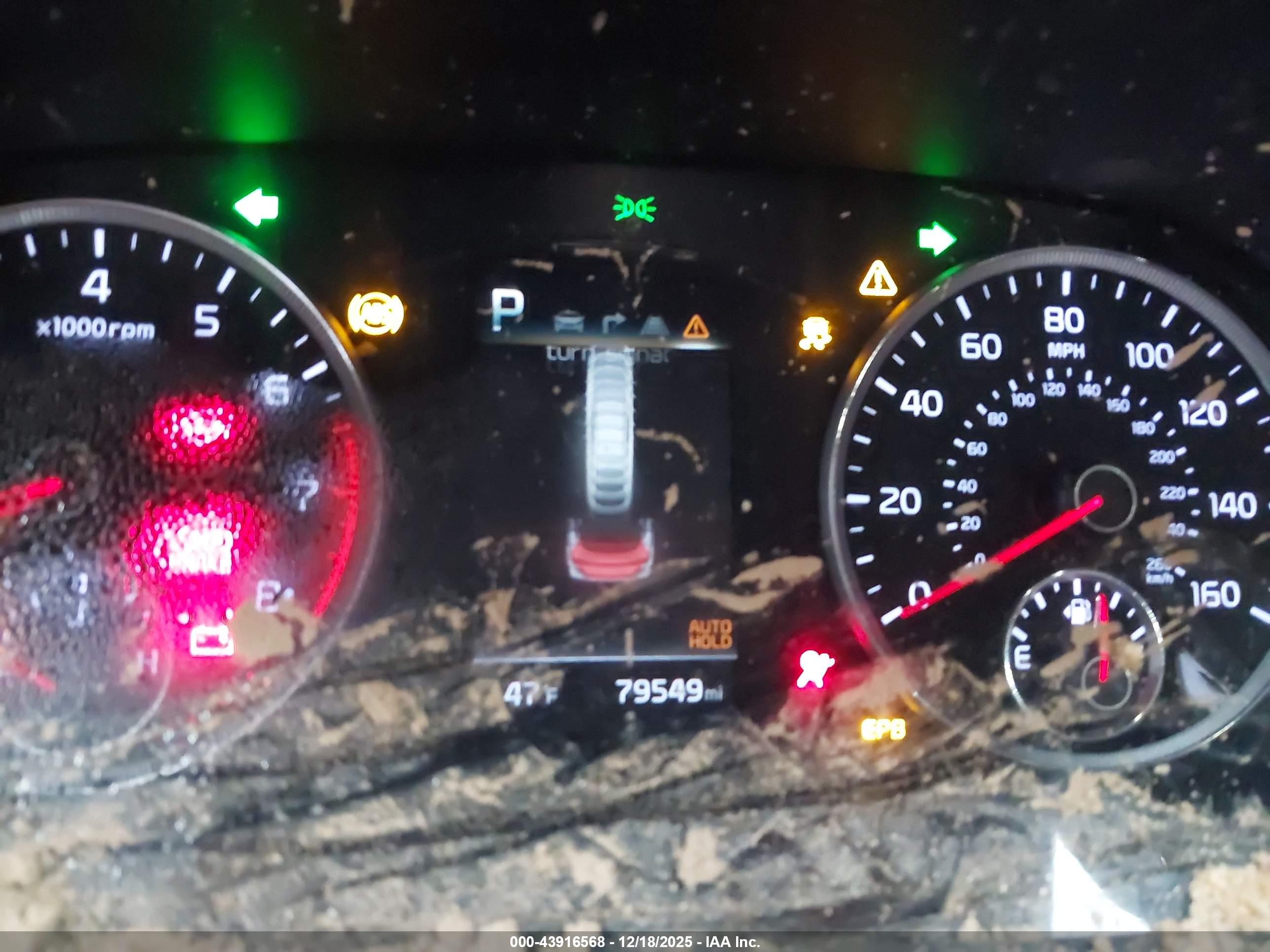 KIA K5 image 7