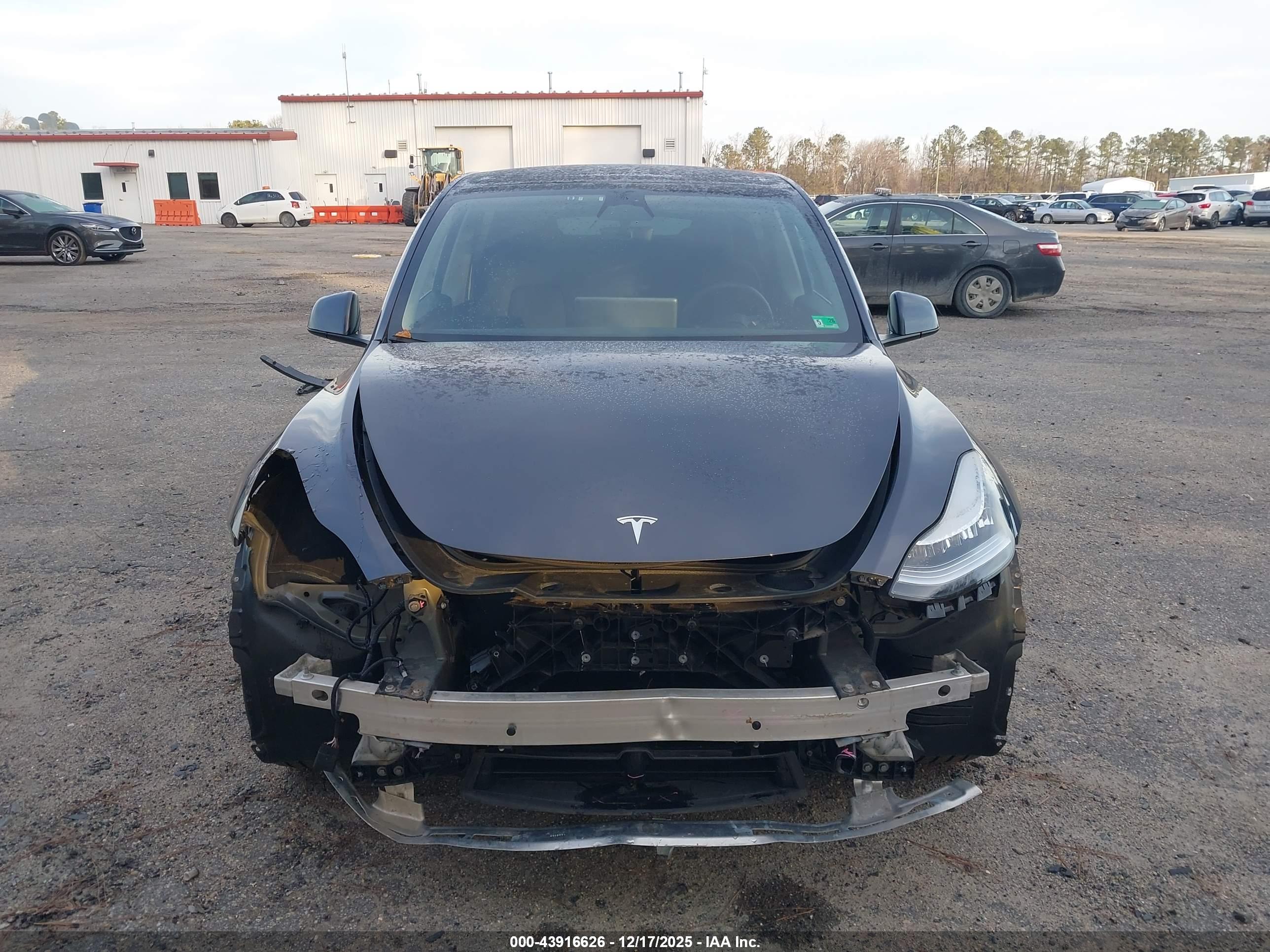 TESLA MODEL image 6