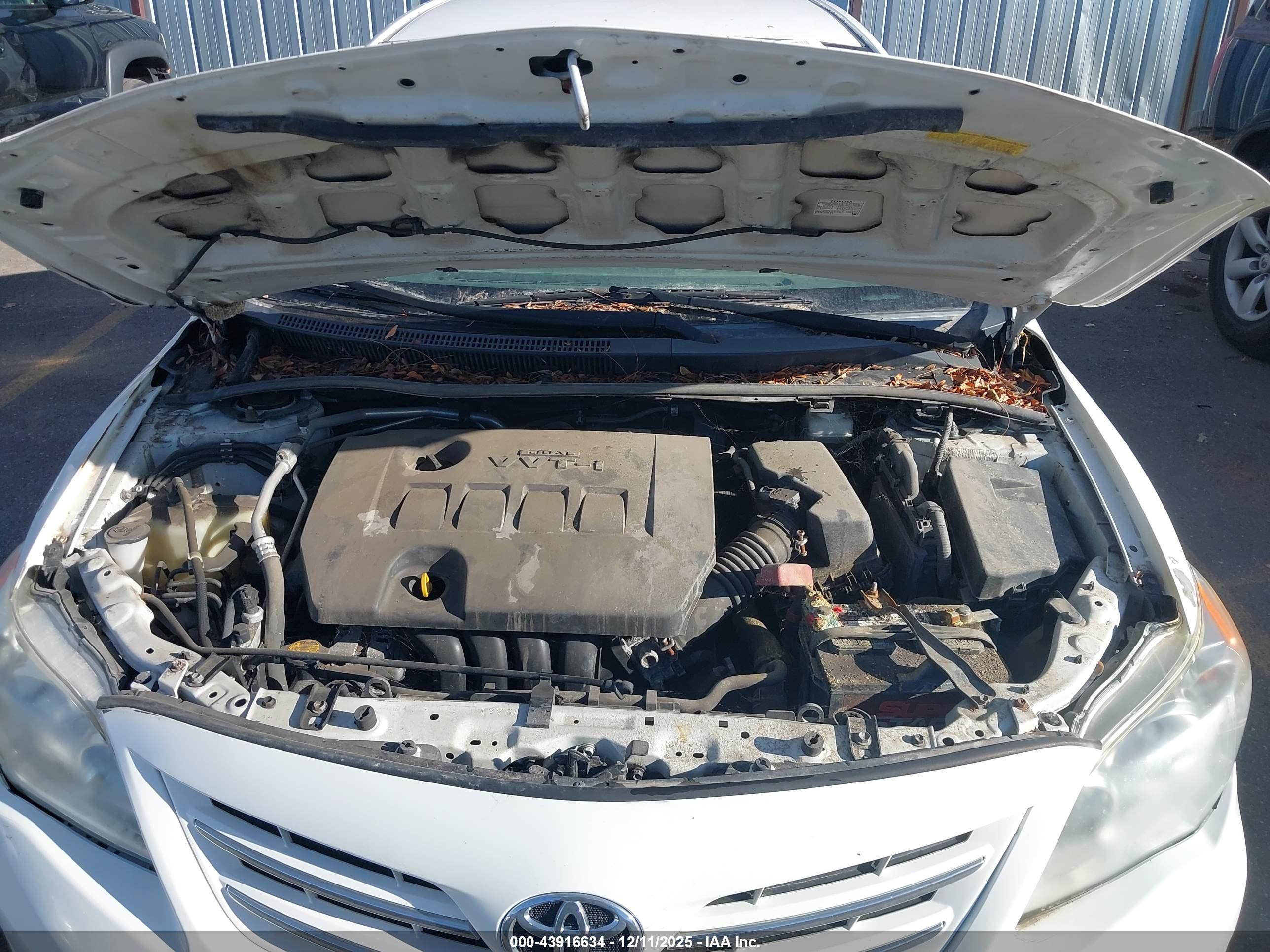 TOYOTA COROLLA image 10
