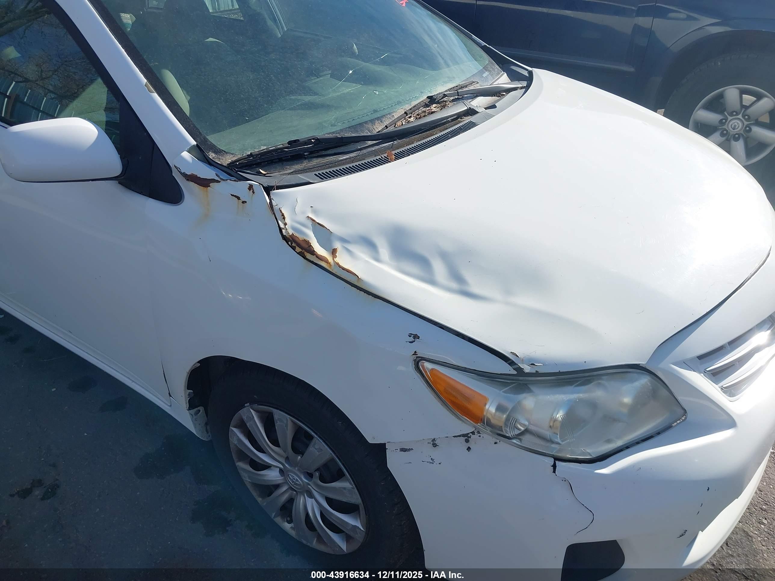 TOYOTA COROLLA image 6