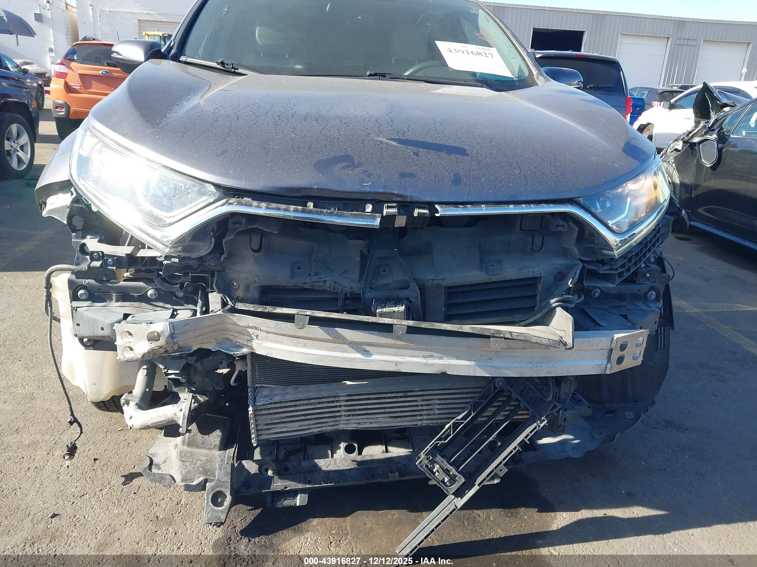 HONDA CR-V image 6