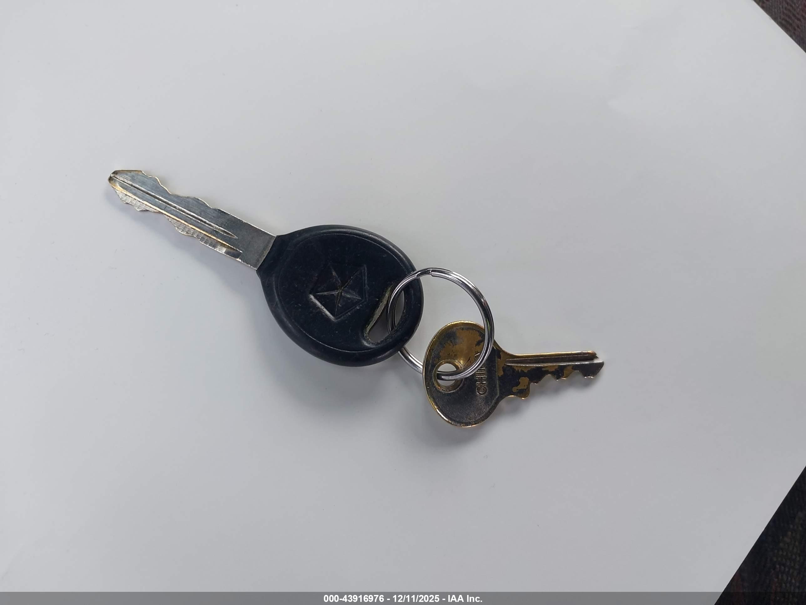 JEEP WRANGLER image 11