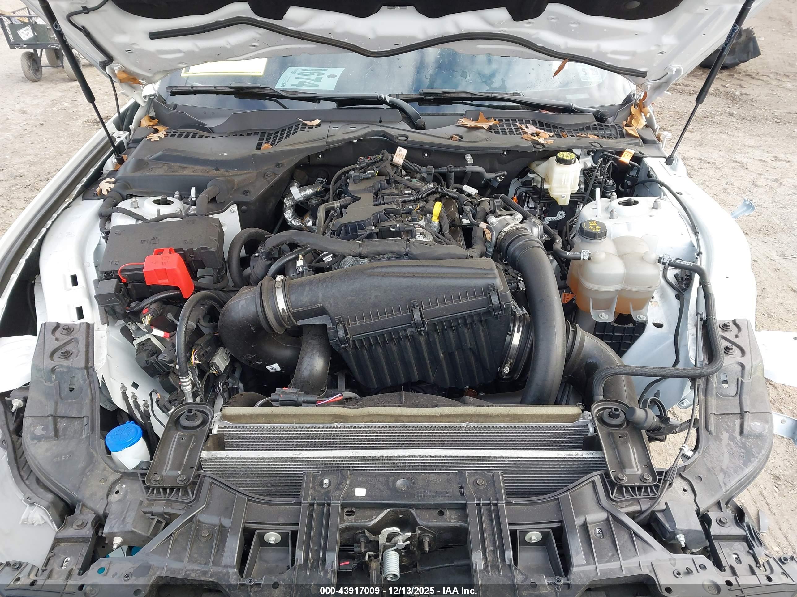 FORD MUSTANG image 10
