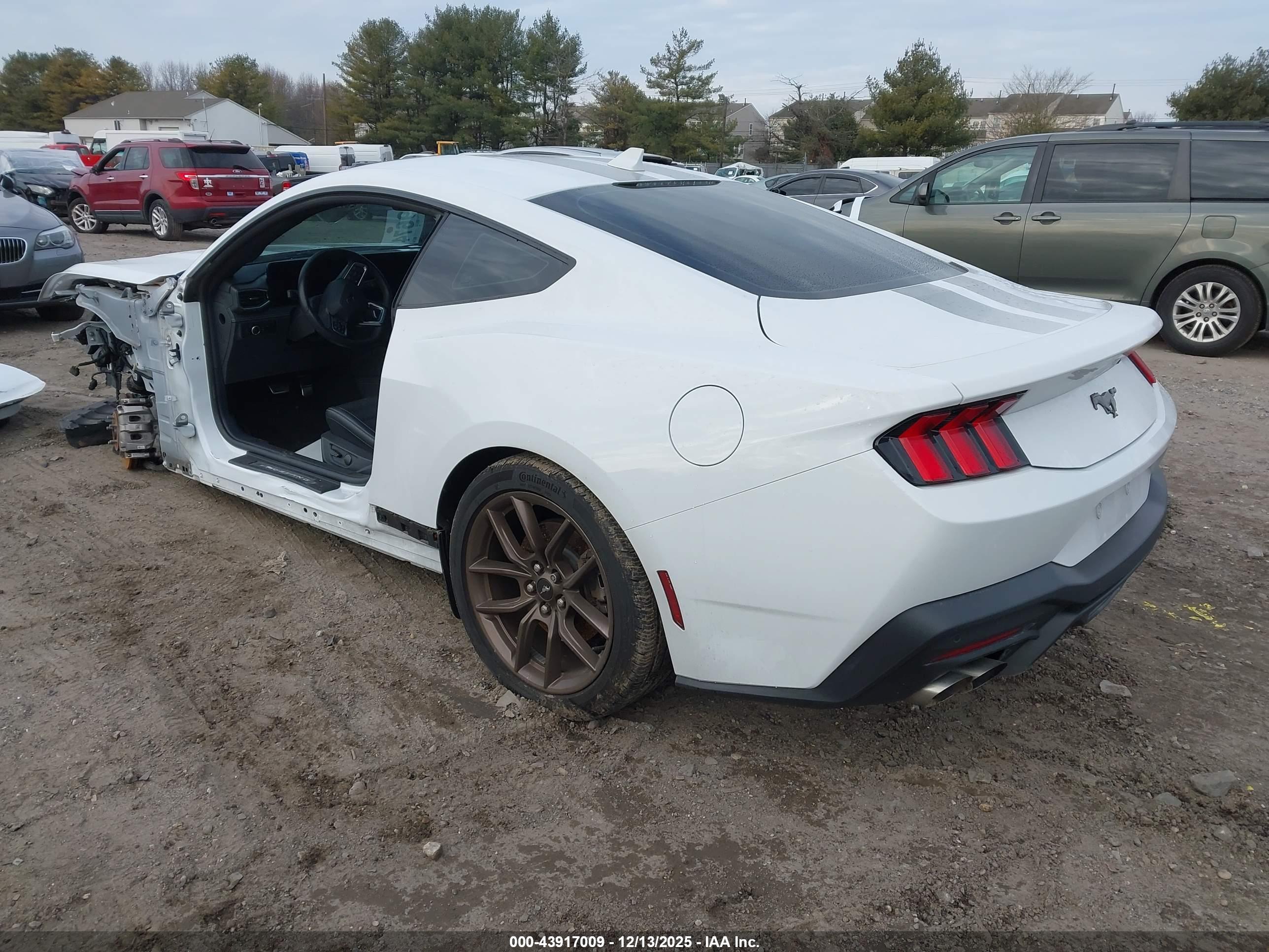 FORD MUSTANG image 3