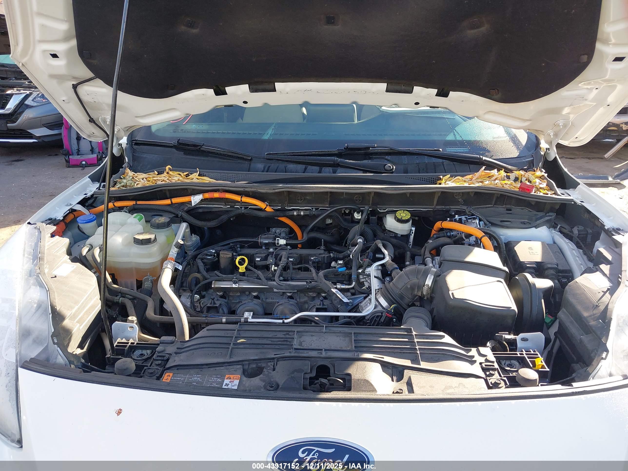 FORD ESCAPE image 10
