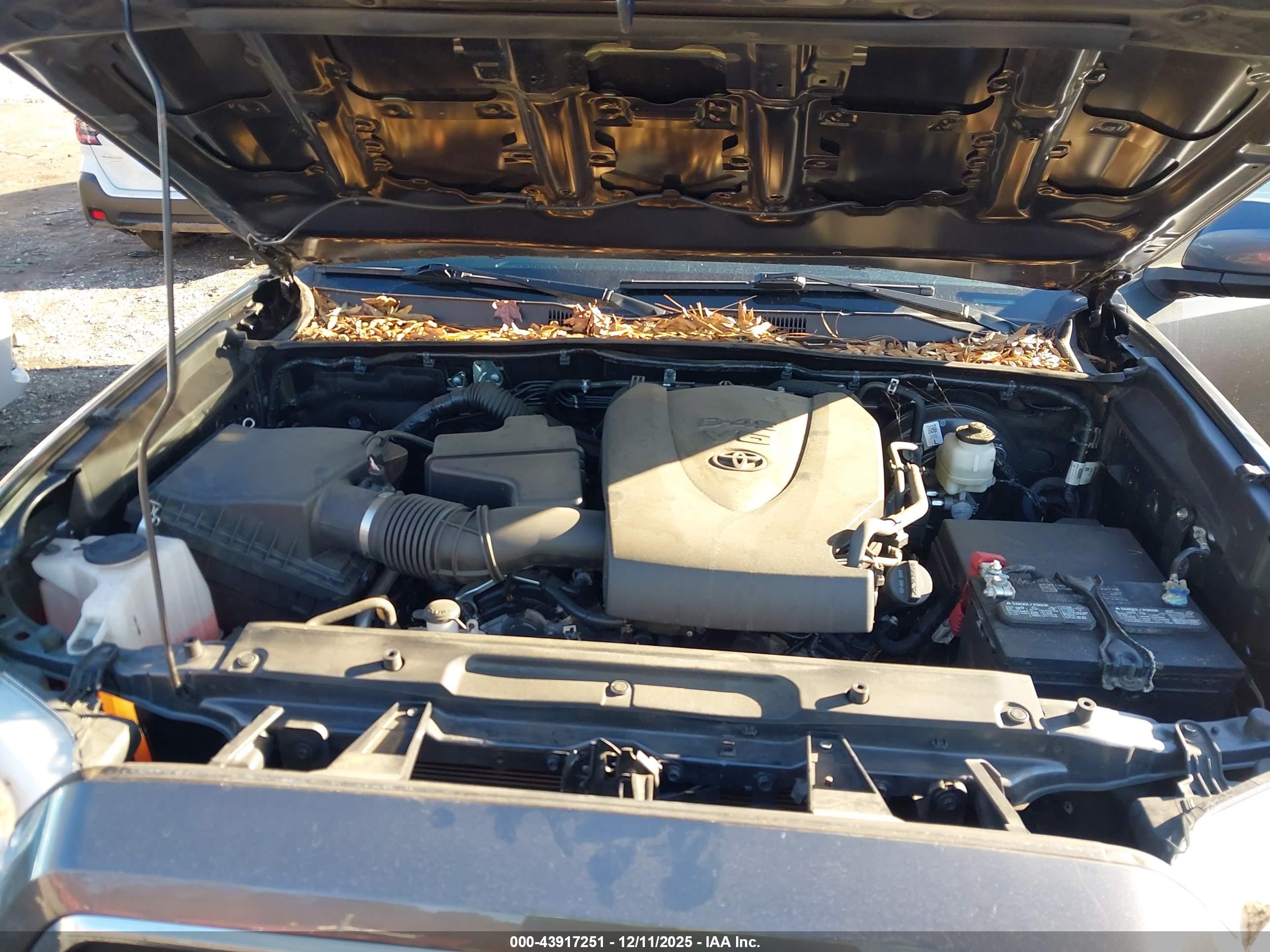 TOYOTA TACOMA image 10
