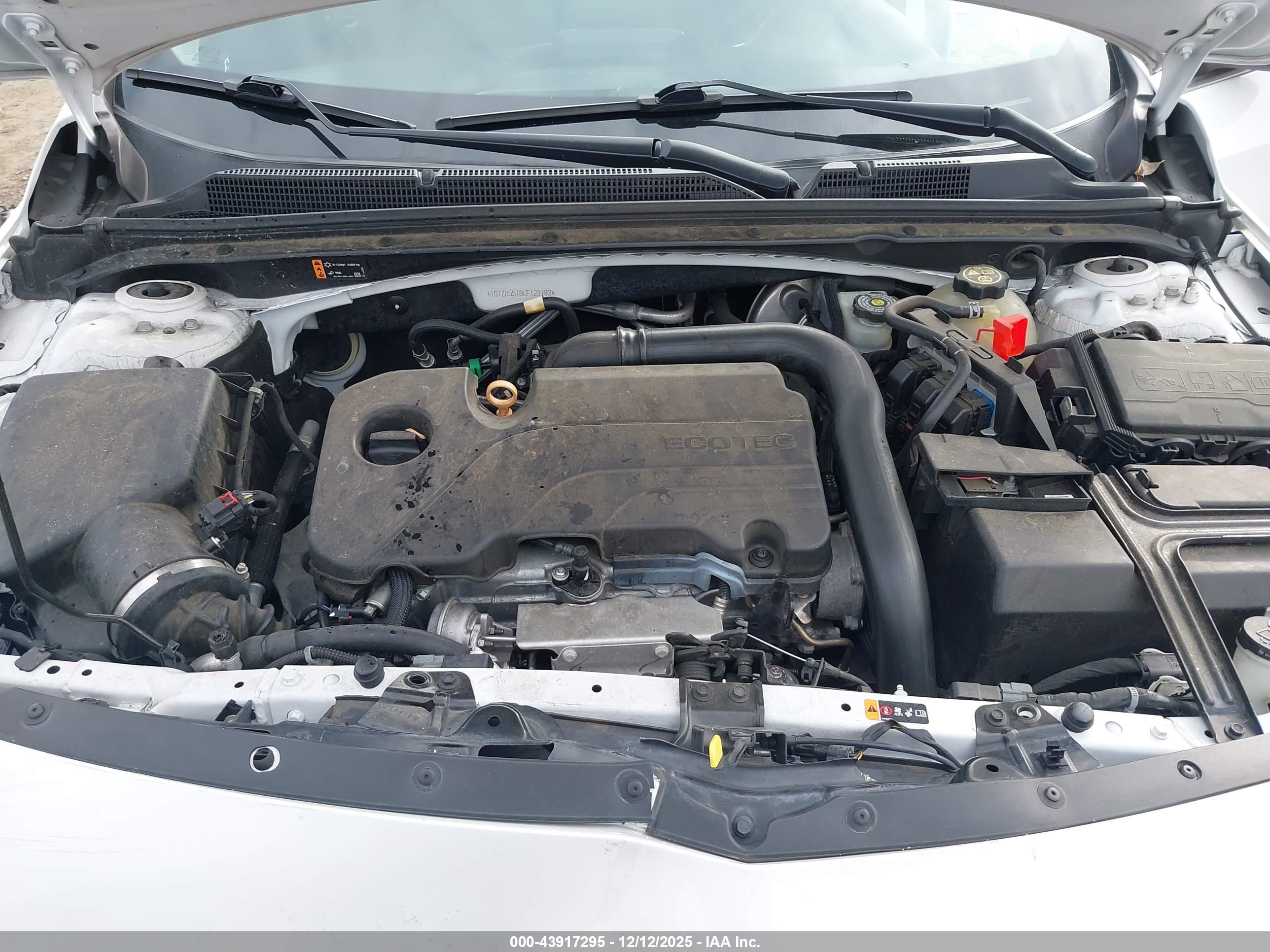 CHEVROLET MALIBU image 10