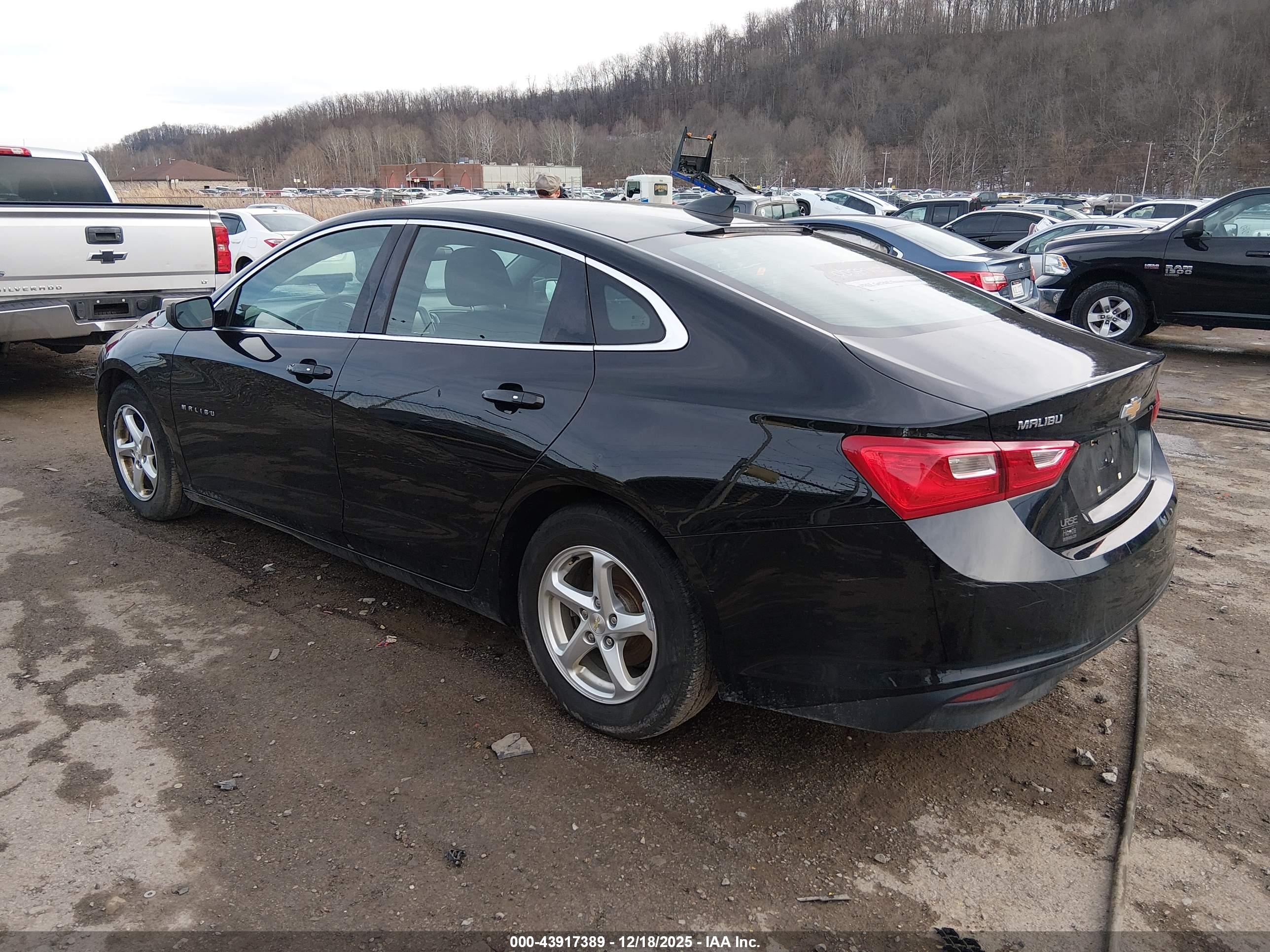 CHEVROLET MALIBU image 3