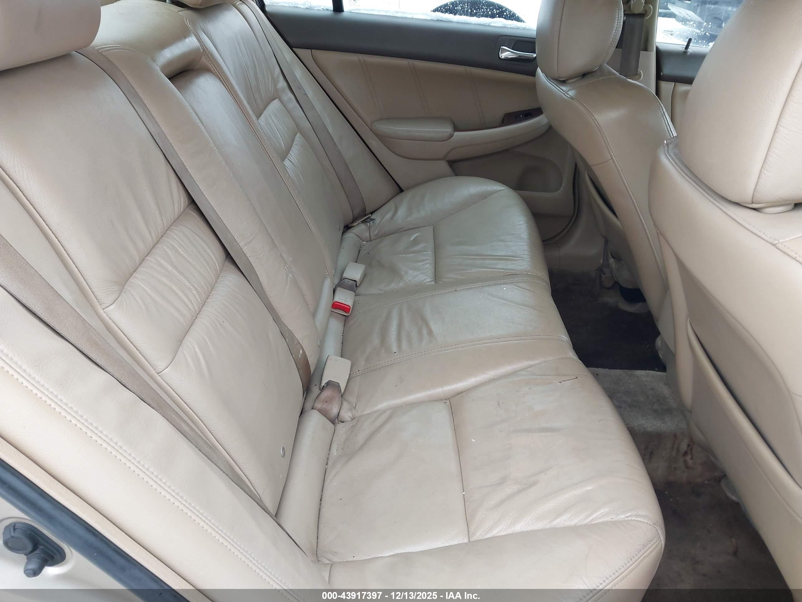 HONDA ACCORD image 8