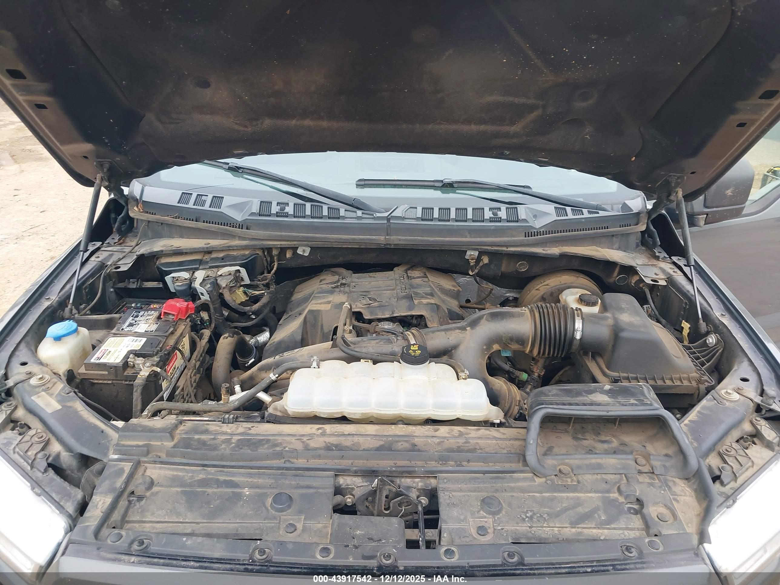 FORD F-150 image 10