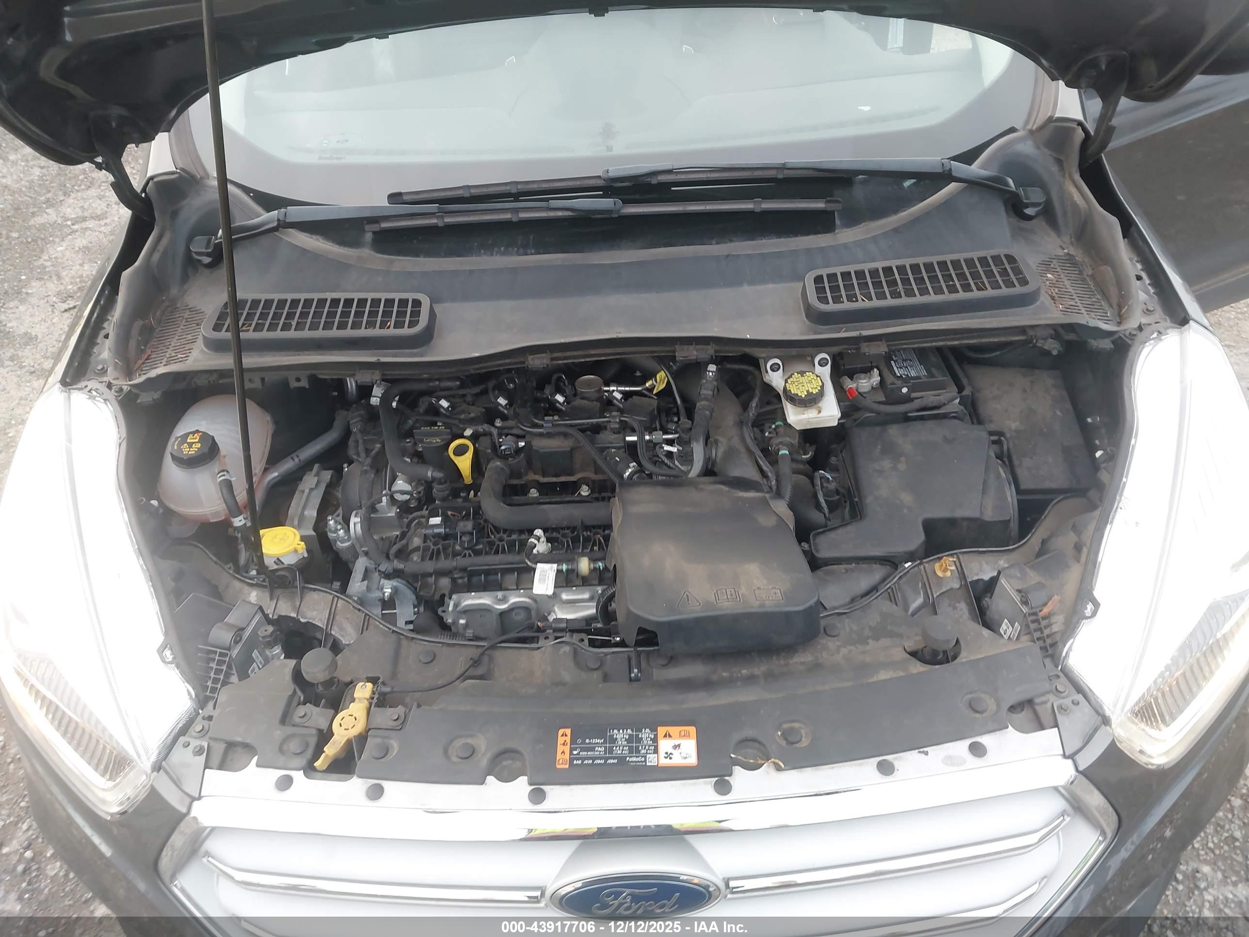 FORD ESCAPE image 10