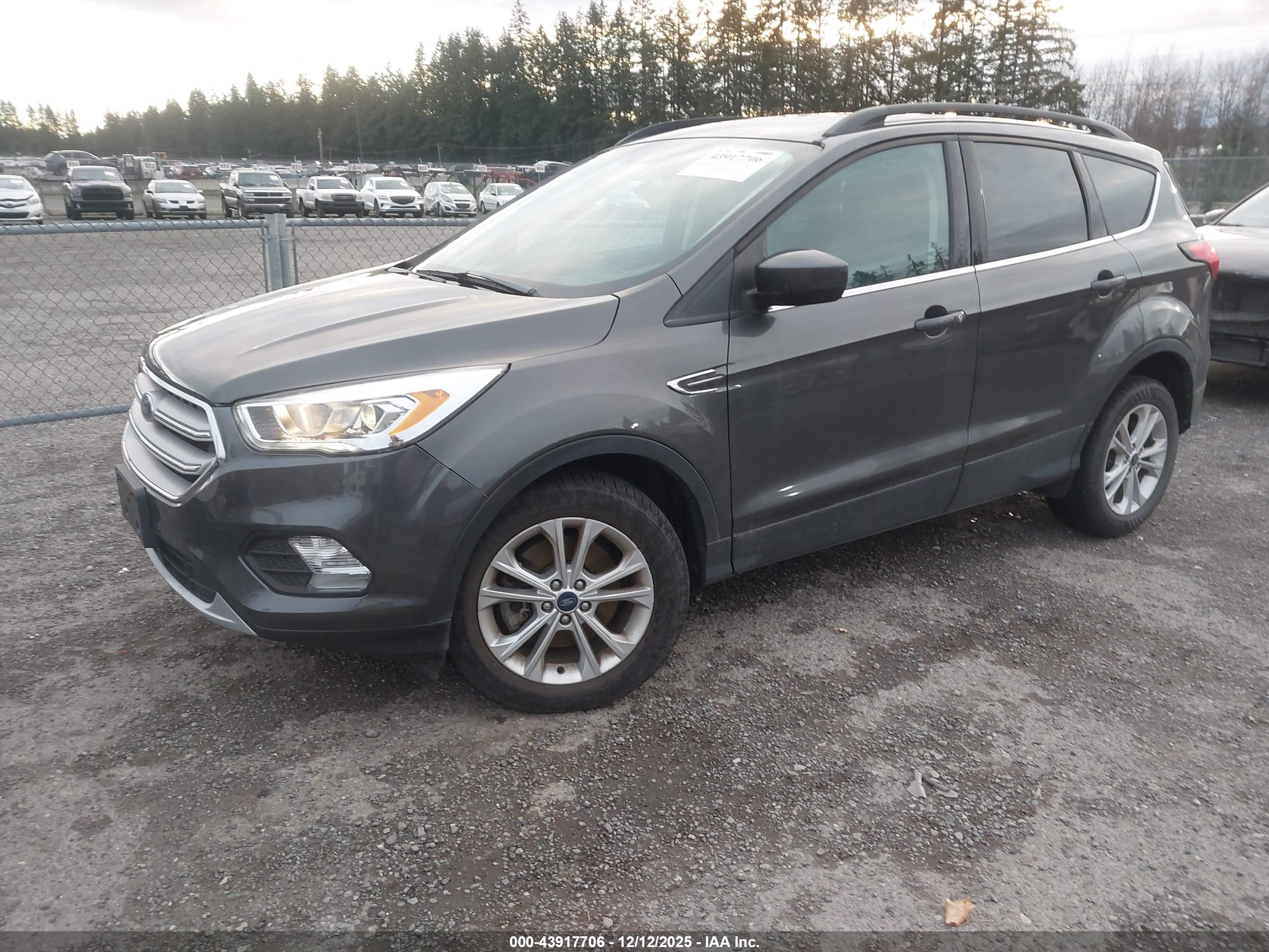FORD ESCAPE image 2