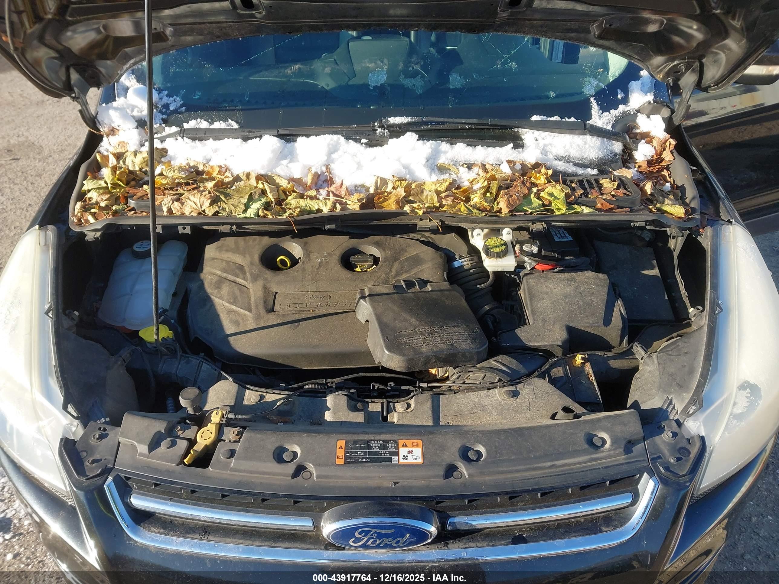 FORD ESCAPE image 10