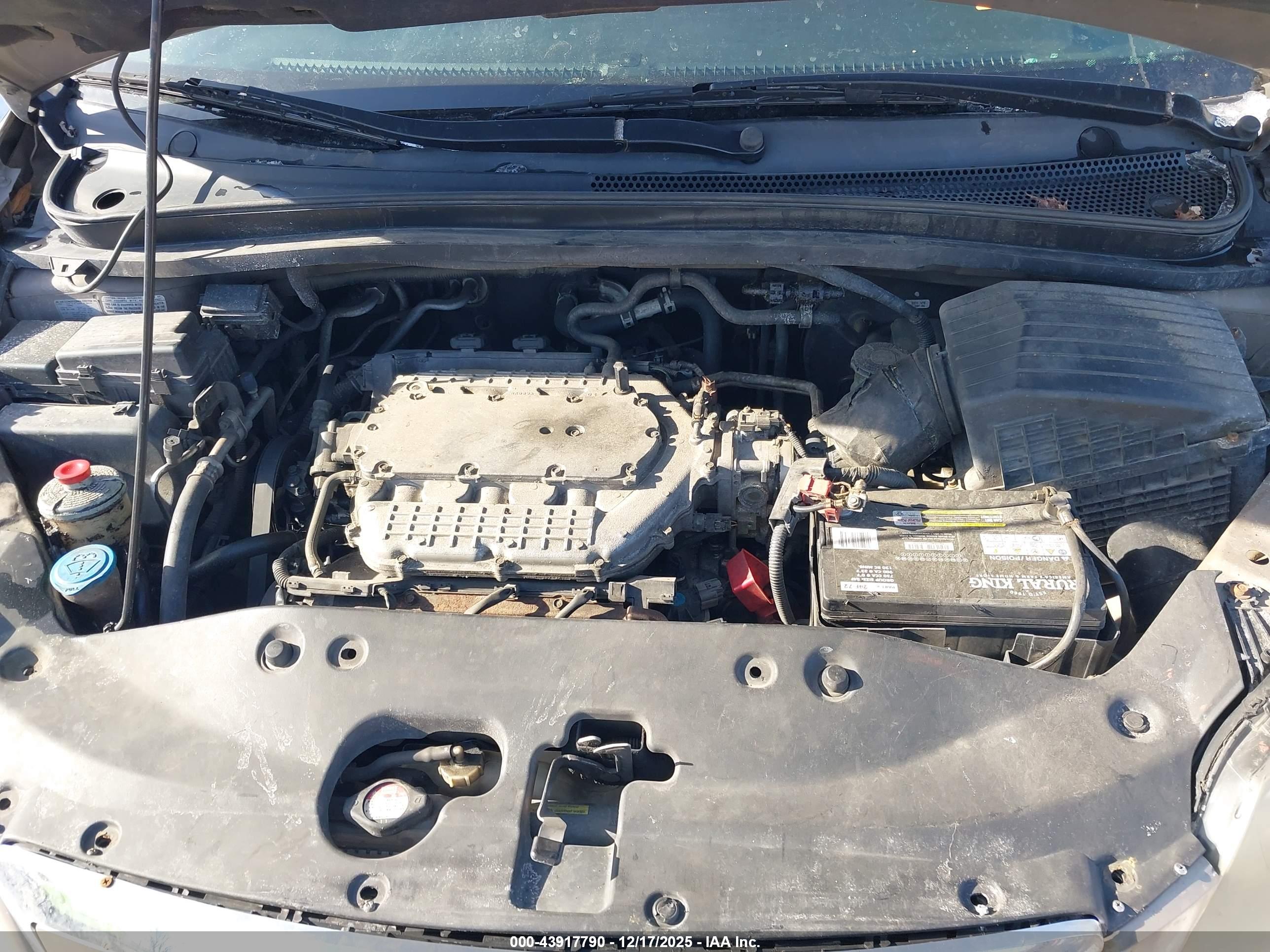 HONDA ODYSSEY image 10