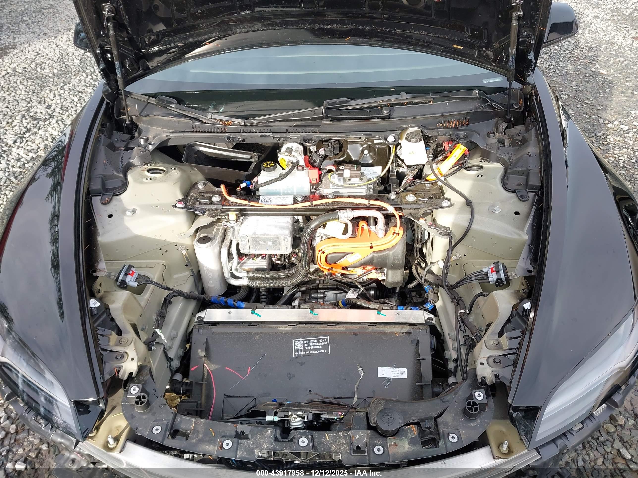 TESLA MODEL image 10