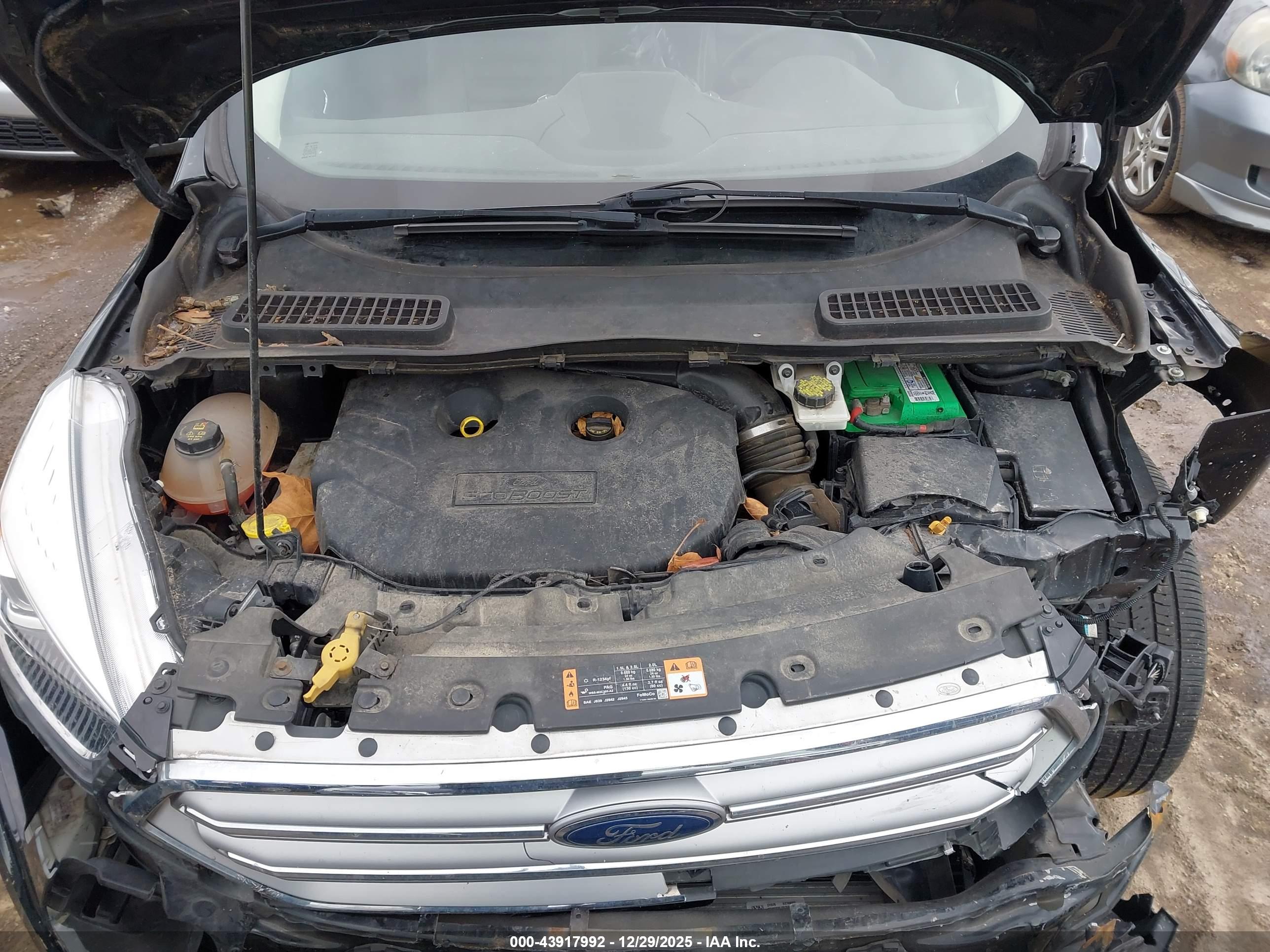 FORD ESCAPE image 10