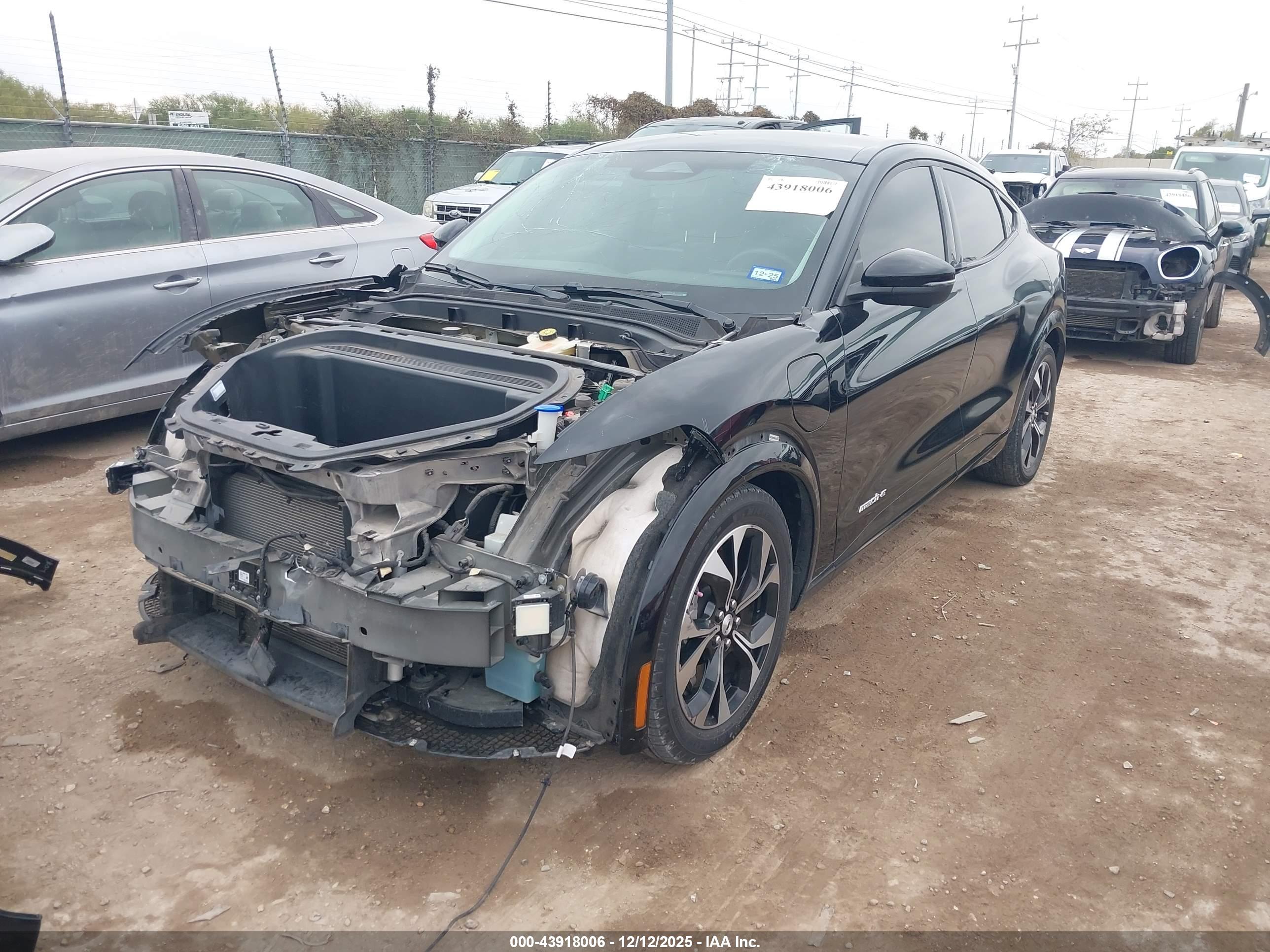 FORD MUSTANG image 2